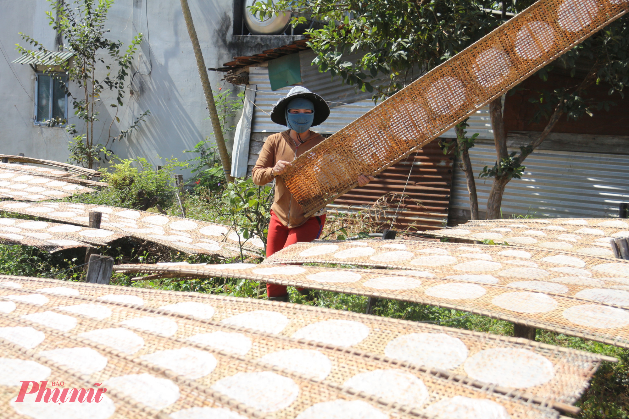 Từng công đoạn sản xuất bánh tráng đòi hỏi sự khéo léo, để tránh bị hư hỏng, bể bánh