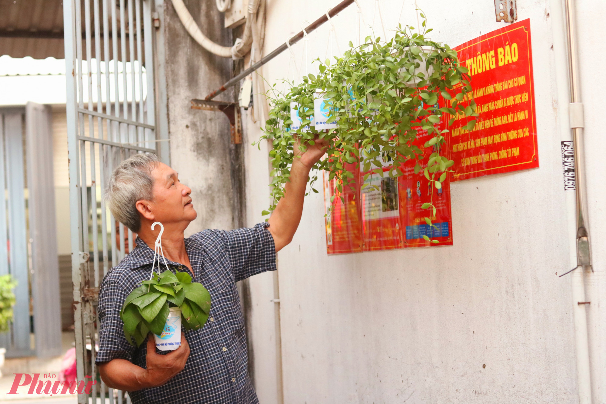 Ông Nguyễn Xuân Hùng treo các chậu cây tạo mảng xanh cho khu nhà trọ - Ảnh: Mẫn Nhi