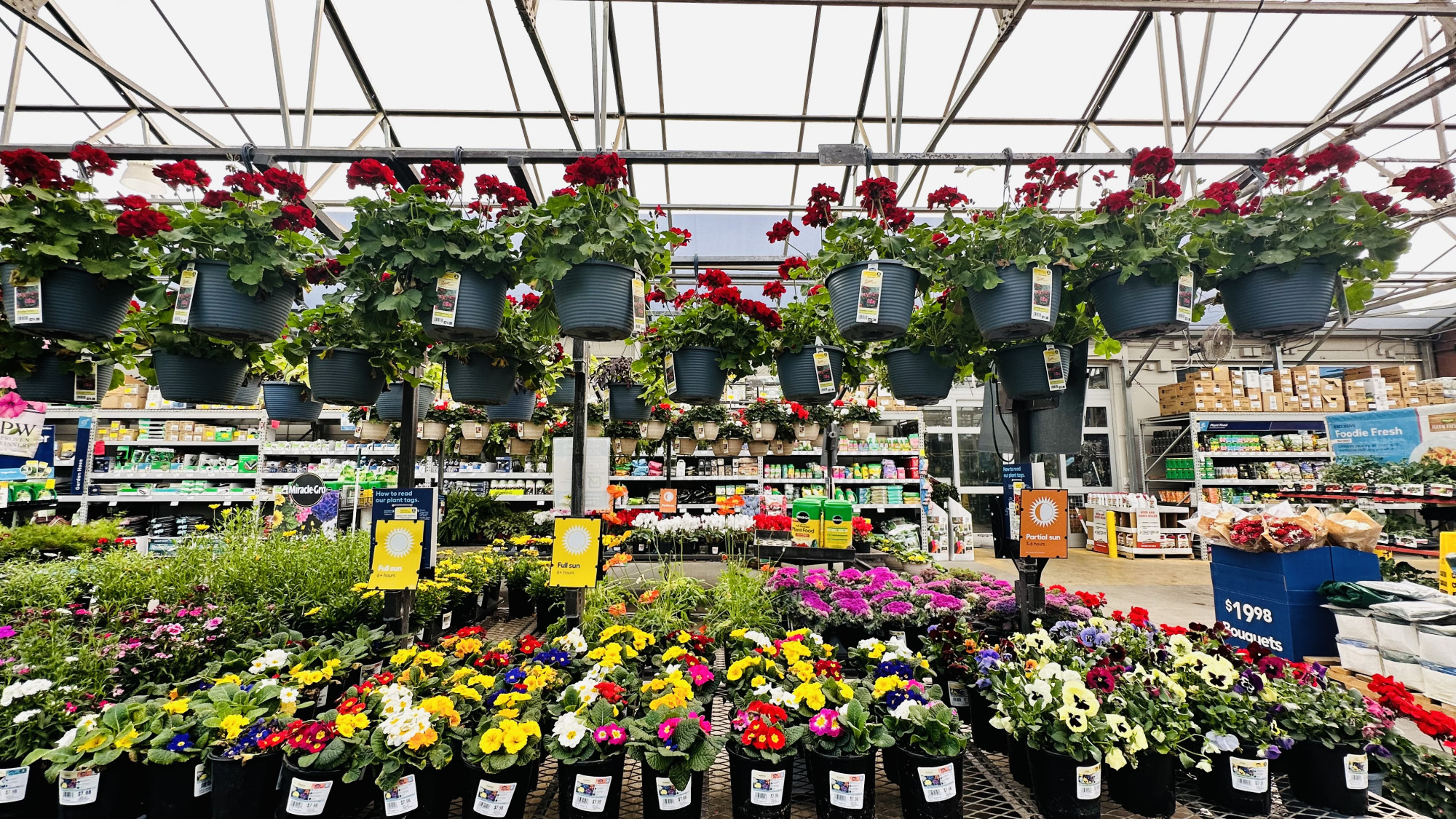 Chợ hoa ở nước ngoài rực rỡ quanh năm nhưng vẫn không có không khí Tết như ở quê nhà (ảnh: tác giả cung cấp)