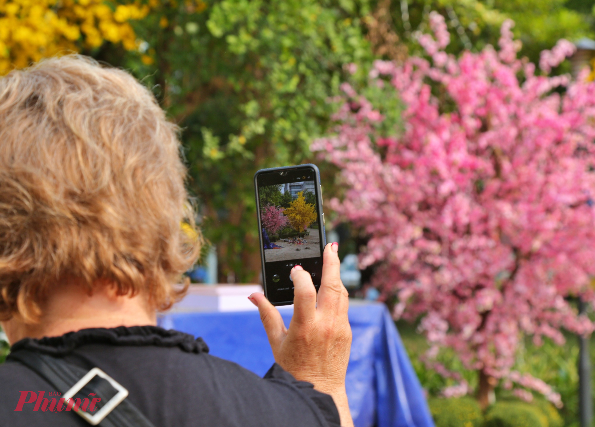 Du khách nước ngoài dùng điện thoại quay video, check in vườn hoa.