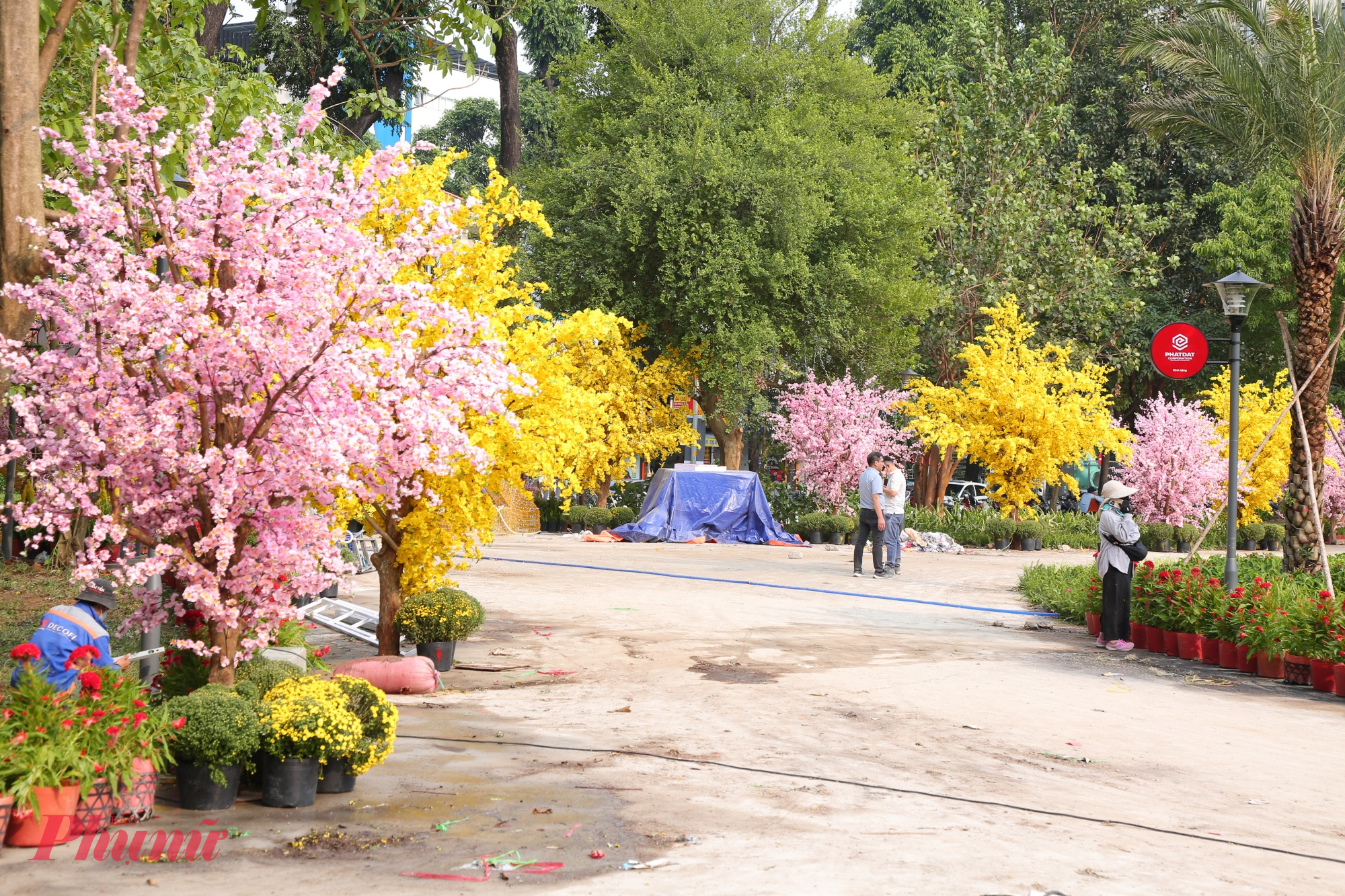 Dự án thiết kế và cải tạo cảnh quan công viên, vườn hoa được thực hiện từ ngày 8/1, ngay sau khi UBND TPHCM có chủ trương chỉnh trang 9 khu “đất vàng” đang bỏ hoang. 