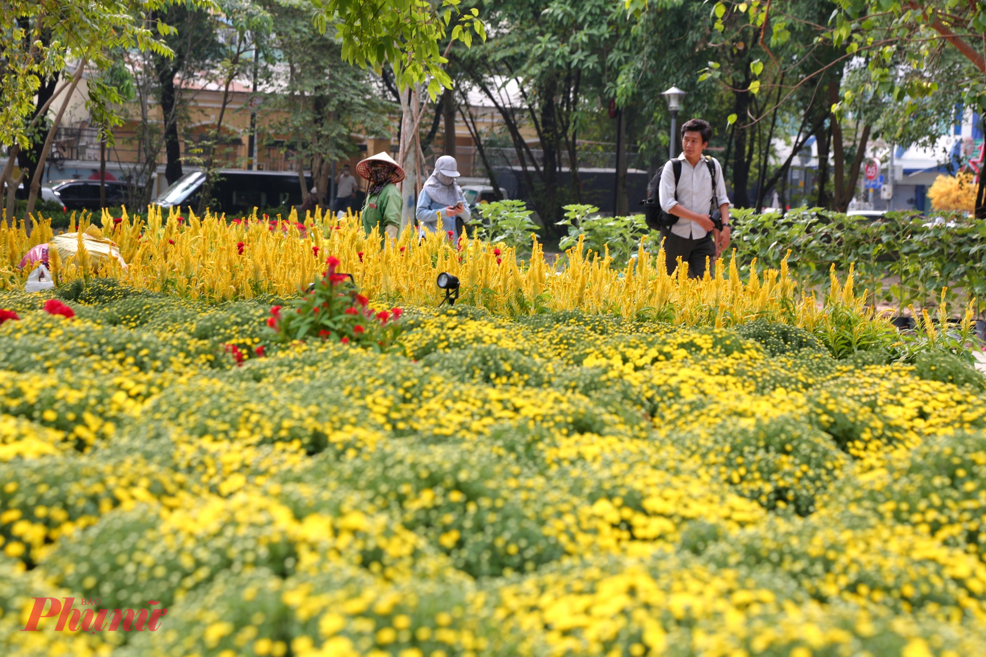 Hàng ngàn chậu hoa đủ loại màu sắc đã được trưng bày tại đây để phục vụ người dân vui chơi đón tết.
