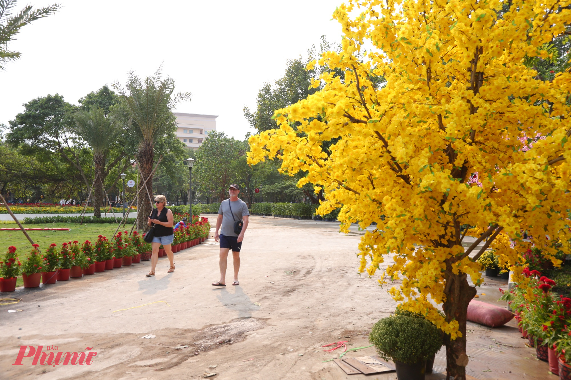 Nhiều cây mai và đào nở hoa rực rỡ được trồng tại khu vực cổng chào và lối đi tại công viên gây sự chú ý của nhiều du khách nước ngoài dạo chơi tại đây.