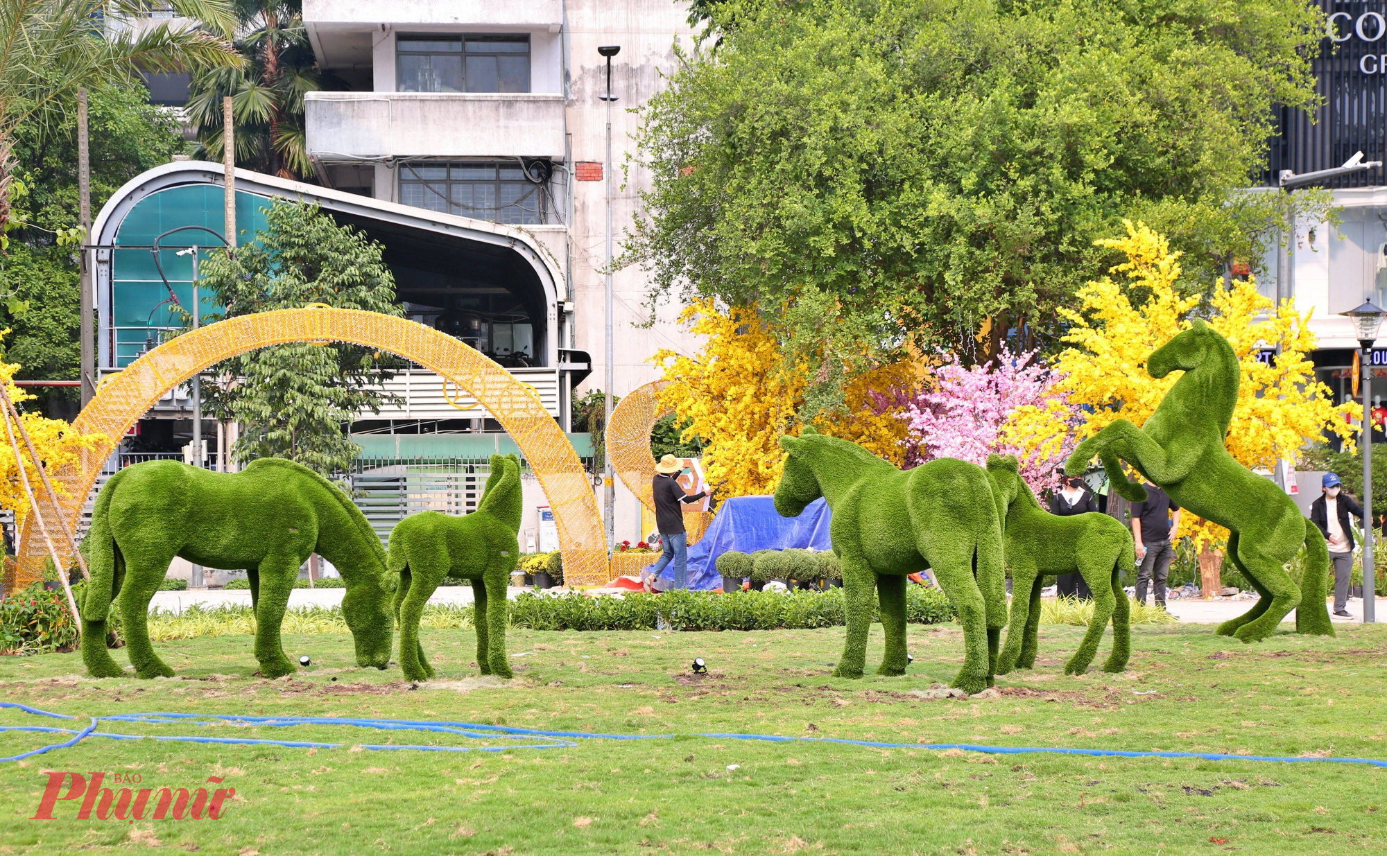 Gia đình ngựa là điểm nhấn của vườn hoa tết tại khu đất vàng này. 