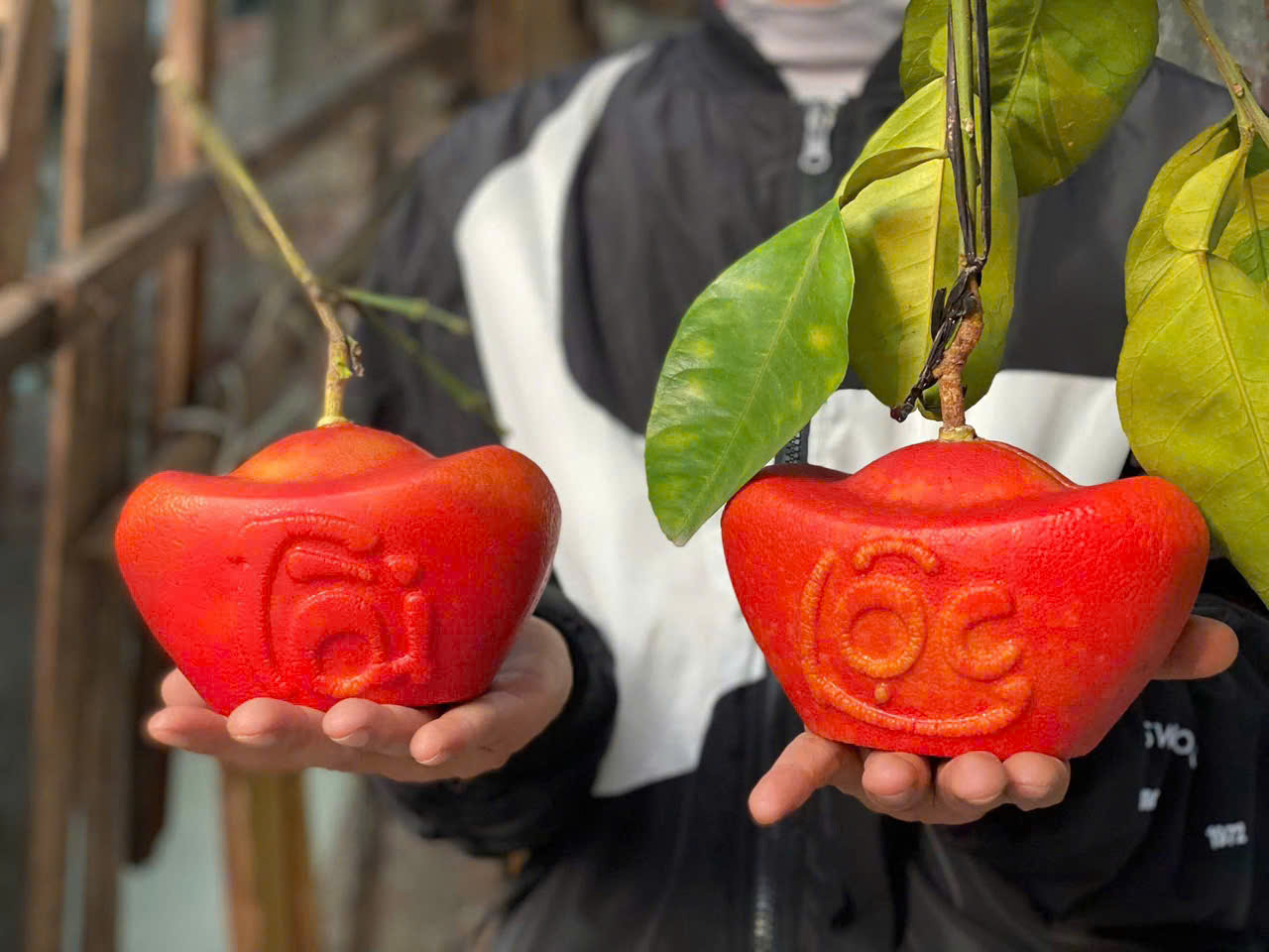 Một tạo hình khác của bưởi tiến vua cũng thu hút sự chú ý của người mua trên các nền tảng mạng xã hội