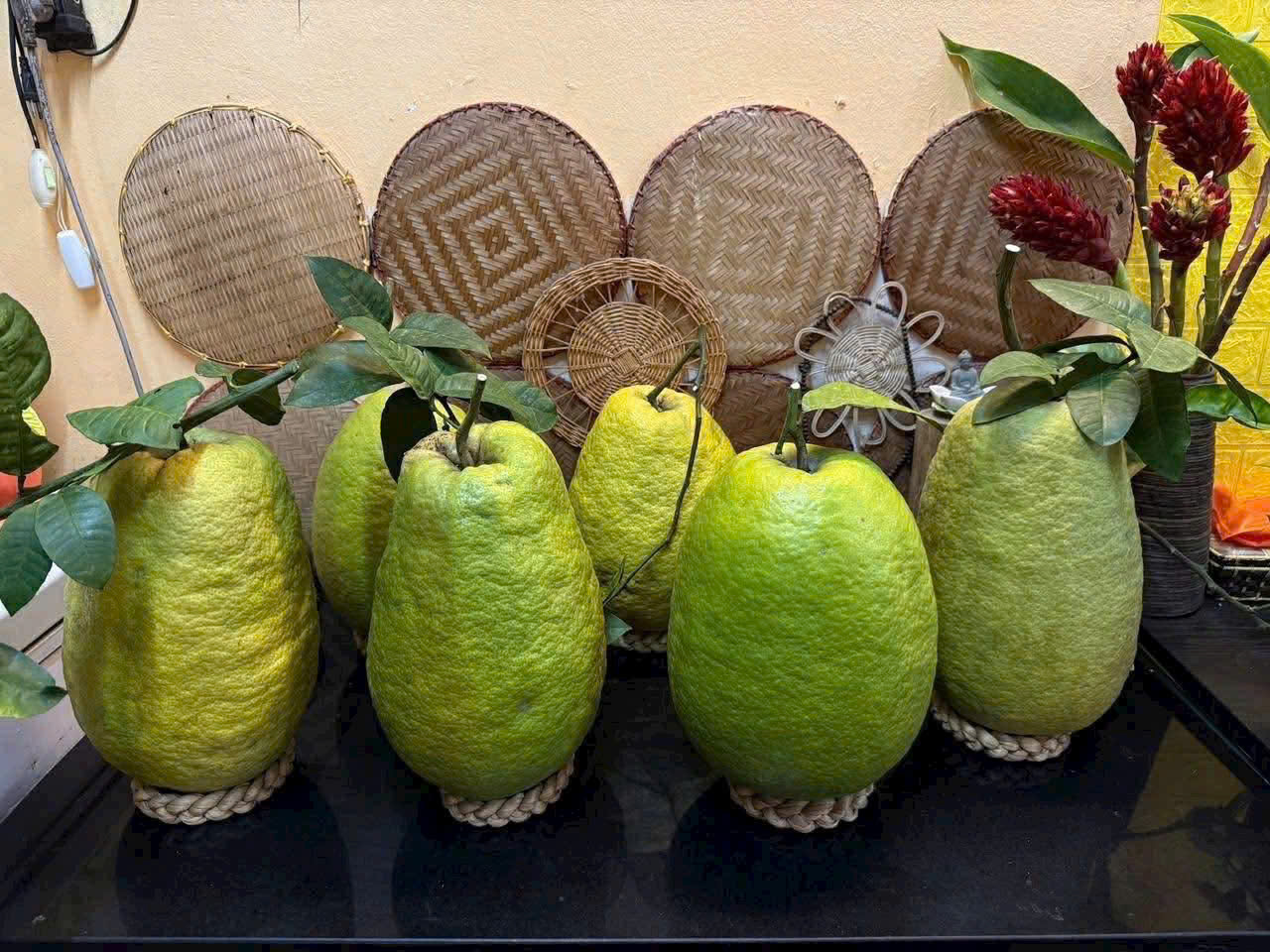 Bưởi Kim Long – dòng bưởi cỡ lớn được nhiều khách đặt chưng Tết cho không gian rộng. Theo các điểm bán, giá bưởi cỡ đại dao động từ khoảng 500.000 đồng đến hơn 1 triệu đồng/trái, tùy trọng lượng và hình dáng; hàng đẹp thường phải đặt sớm.