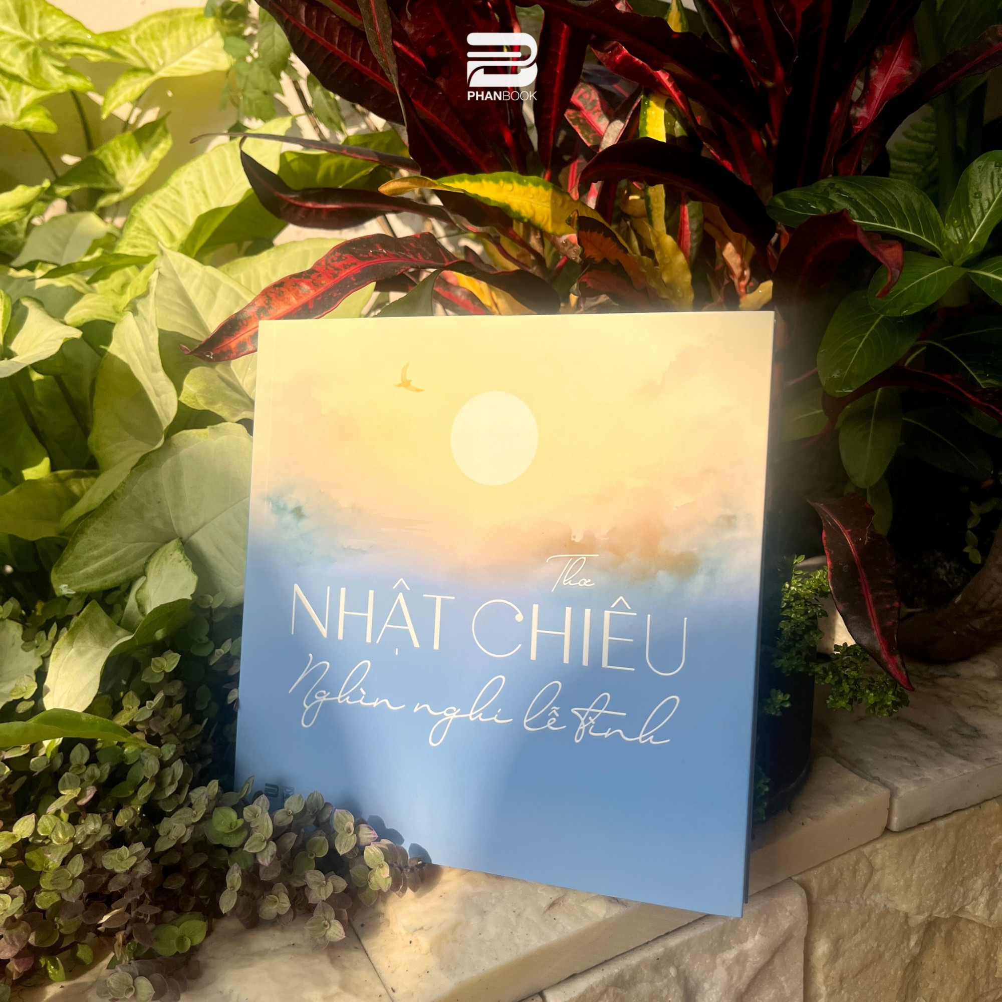 Tác phẩm mới của nhà văn - nhà giáo Nhật Chiêu (ông nguyên là giảng viên trường ĐHKHXH&NV TPHCM)