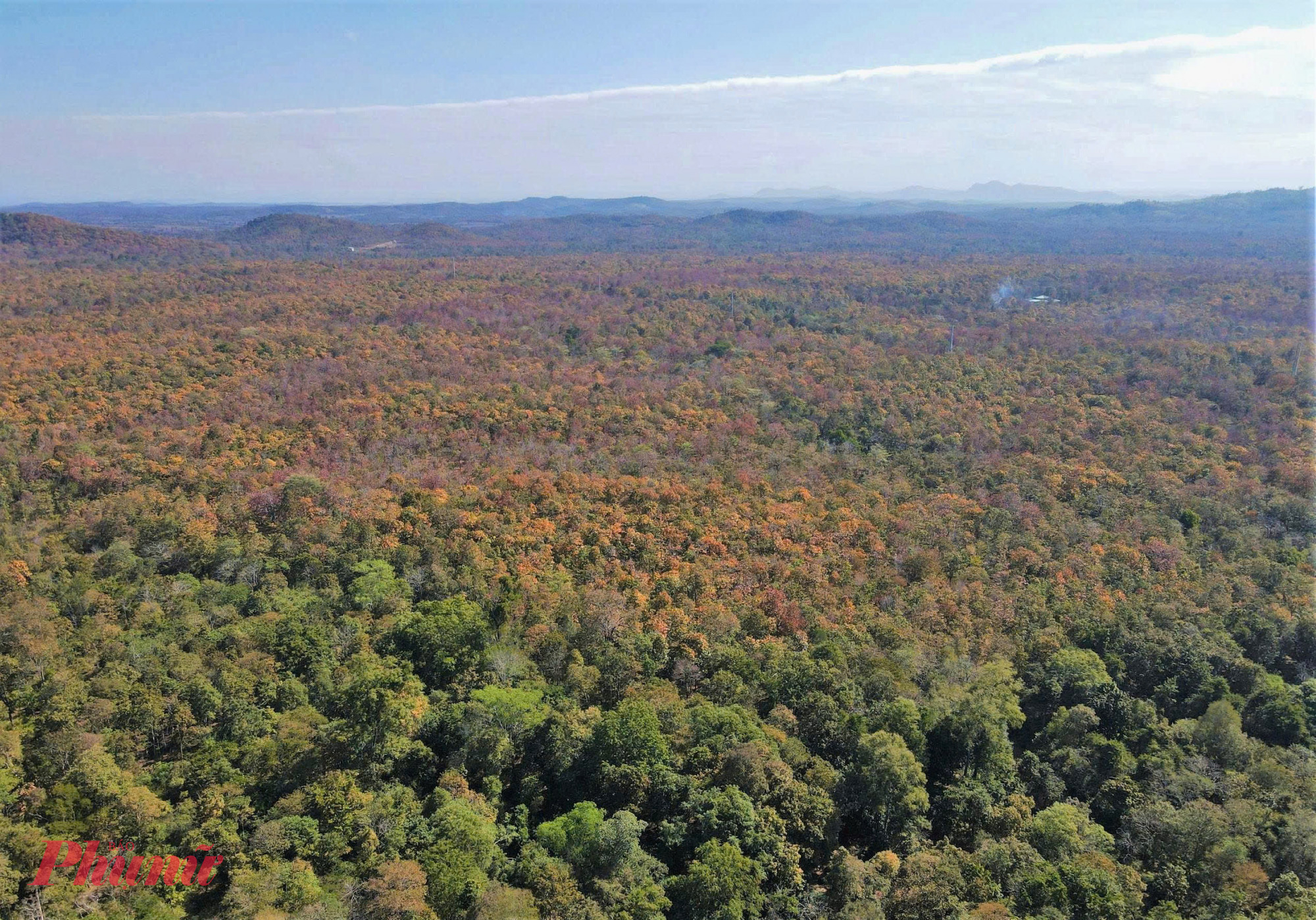 Vườn quốc gia Yok Đôn được xác lập kỷ lục là vườn quốc gia bảo tồn hệ sinh thái rừng khộp lớn nhất Việt Nam. có hệ động, thực vật phong phú với hơn 1.000 loài thực vật, 650 loài động vật gồm 92 loài thú, 55 loài bò sát, hơn 370 loài chim và gần 440 loài côn trùng. 