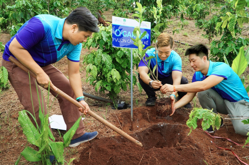 Cán bộ, nhân viên các doanh nghiệp trồng cây ăn trái xen cây cà phê cho các hộ dân tỉnh Lâm Đồng ẢNH: T.B.