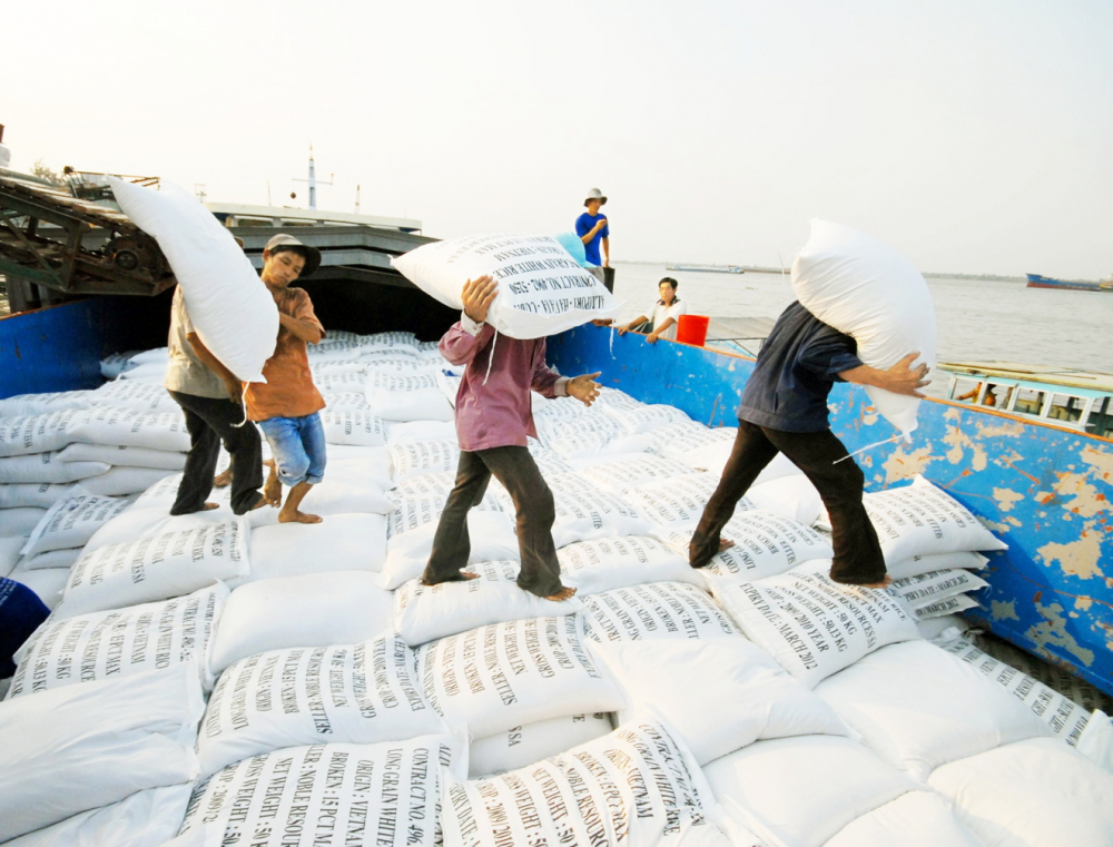 Vụ đông xuân 2025-2026: Nông dân sốt ruột chờ tiêu thụ lúa Năm 2026, dự báo xuất khẩu khoảng 7,7 triệu tấn gạo, ưu tiên dòng gạo thơm, chất lượng cao