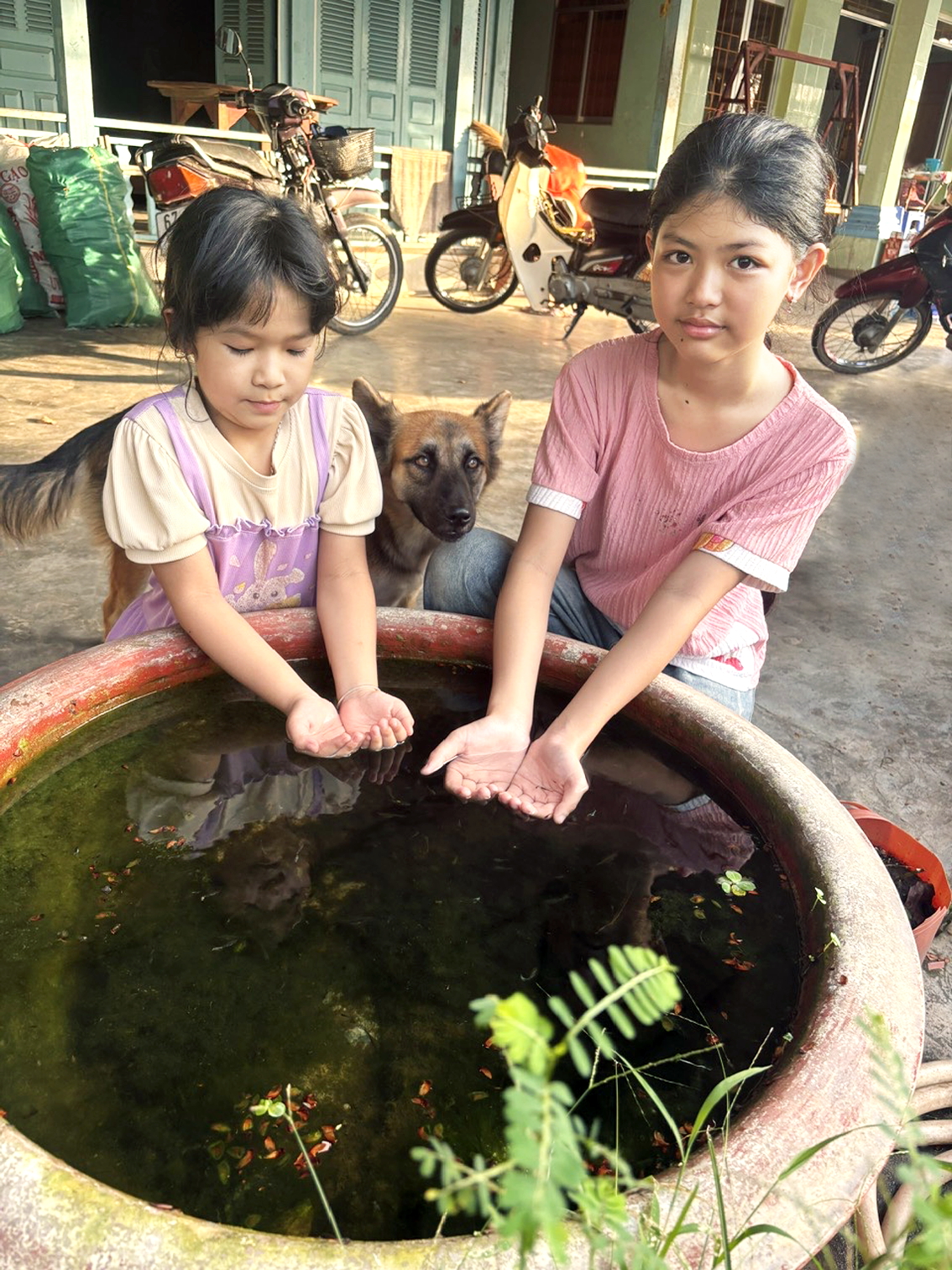 Bé My (bên phải) và bé Su đang chơi với các chú cá lia thia, bên cạnh là chú chó Lu - ẢNH: THÙY DƯƠNG
