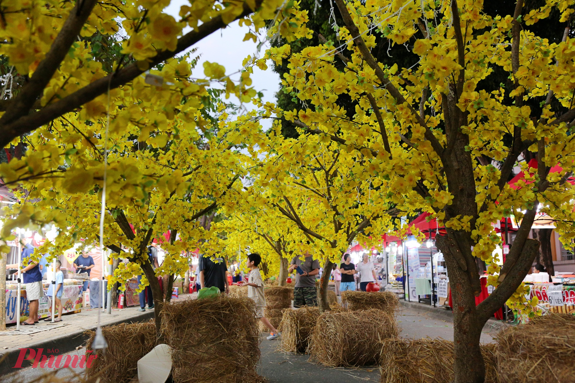 Tiếng cười nói rộn ràng, tiếng nhạc Xuân vang lên xen lẫn nhịp sinh hoạt đời thường, khiến không gian lễ hội trở thành điểm hẹn gắn kết cộng đồng. Ở đó, Tết không chỉ để ngắm, để chụp ảnh, mà còn để cảm – cảm nhận nhịp Xuân đang lan tỏa, cảm nhận những giá trị văn hóa truyền thống được gìn giữ và tiếp nối trong đời sống hôm nay.