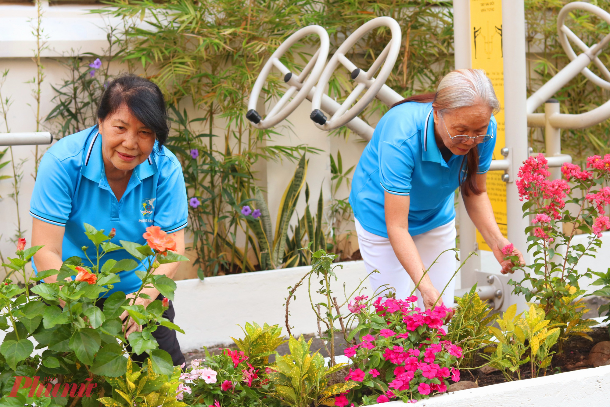 Cán bộ Hội Phụ nữ ở Sài Gòn cùng góp sức trồng và chăm sóc cây hoa trong khuôn viên - Ảnh: Mẫn Nhi