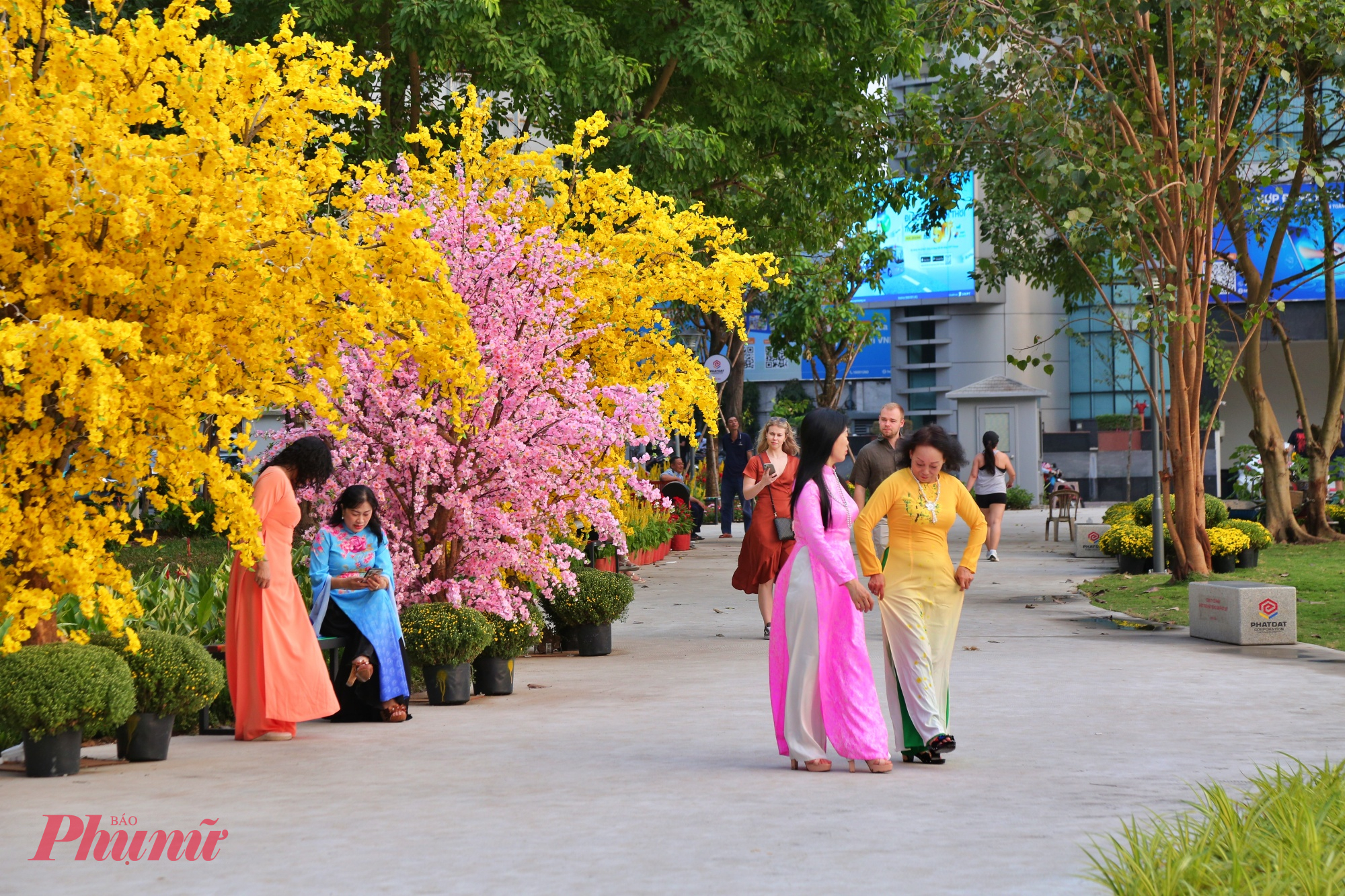 Con đường rợp hoa mai, hoa vàng được nhiều người dân diện áo dài đến chụp hình 