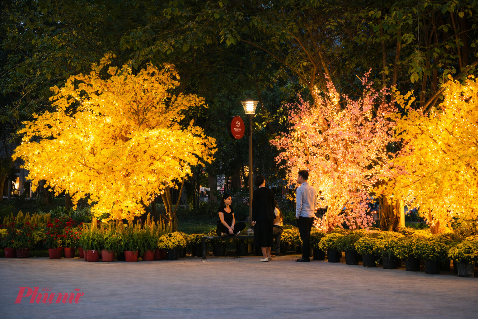 Các cây mai, đào và nhiều tiểu cảnh được thắp đèn vào buổi tối.