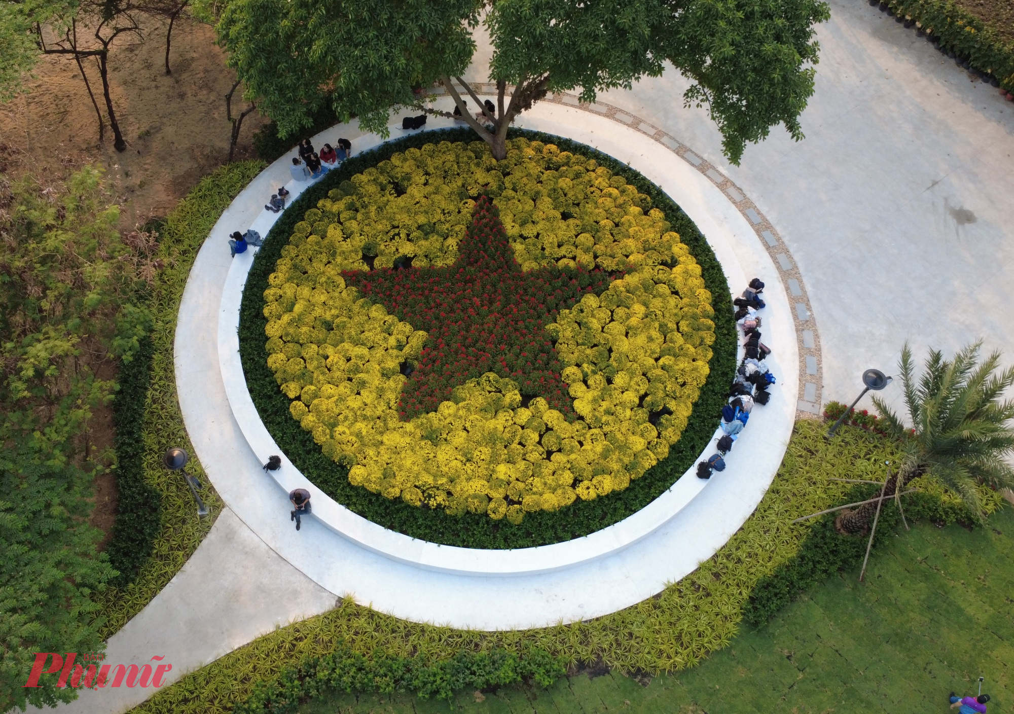 Để hiện thực hóa ý tưởng này, Phát Đạt đã đưa về và bố trí hệ sinh thái cây xanh đa tầng, bao gồm nhiều loài cây rừng và cây cảnh quan có giá trị cao, thích nghi tốt với điều kiện đô thị. Trong đó có các loài cây thân lớn như sanh, giáng hương, chà là, lộc vừng, kèn hồng, kết hợp với hệ cây – hoa – cỏ cảnh quan như hồng lộc, phúc lộc thọ, nguyệt quế, mai vạn phúc, dứa sọc vàng, dành dành, dương xỉ, trầu bà thanh xuân, lài tây…