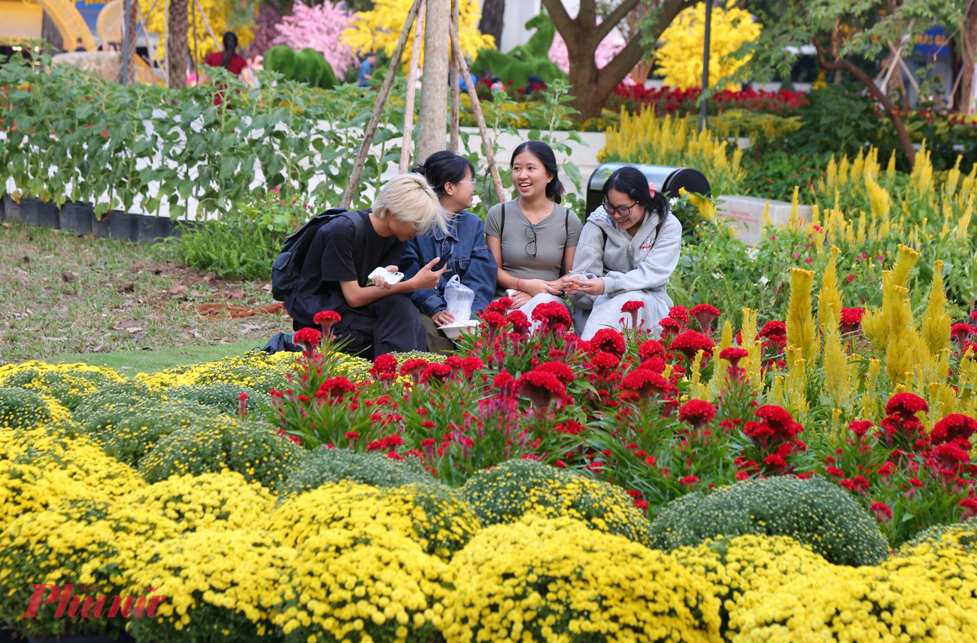 Nhiều bạn trẻ khi biết được công viên, vườn hoa này đã đến đây thường xuyên và ngày càng đông hơn. Không gian tại đây có nhiều ghế đá để người dân ngồi thư giản, trò chuyện.