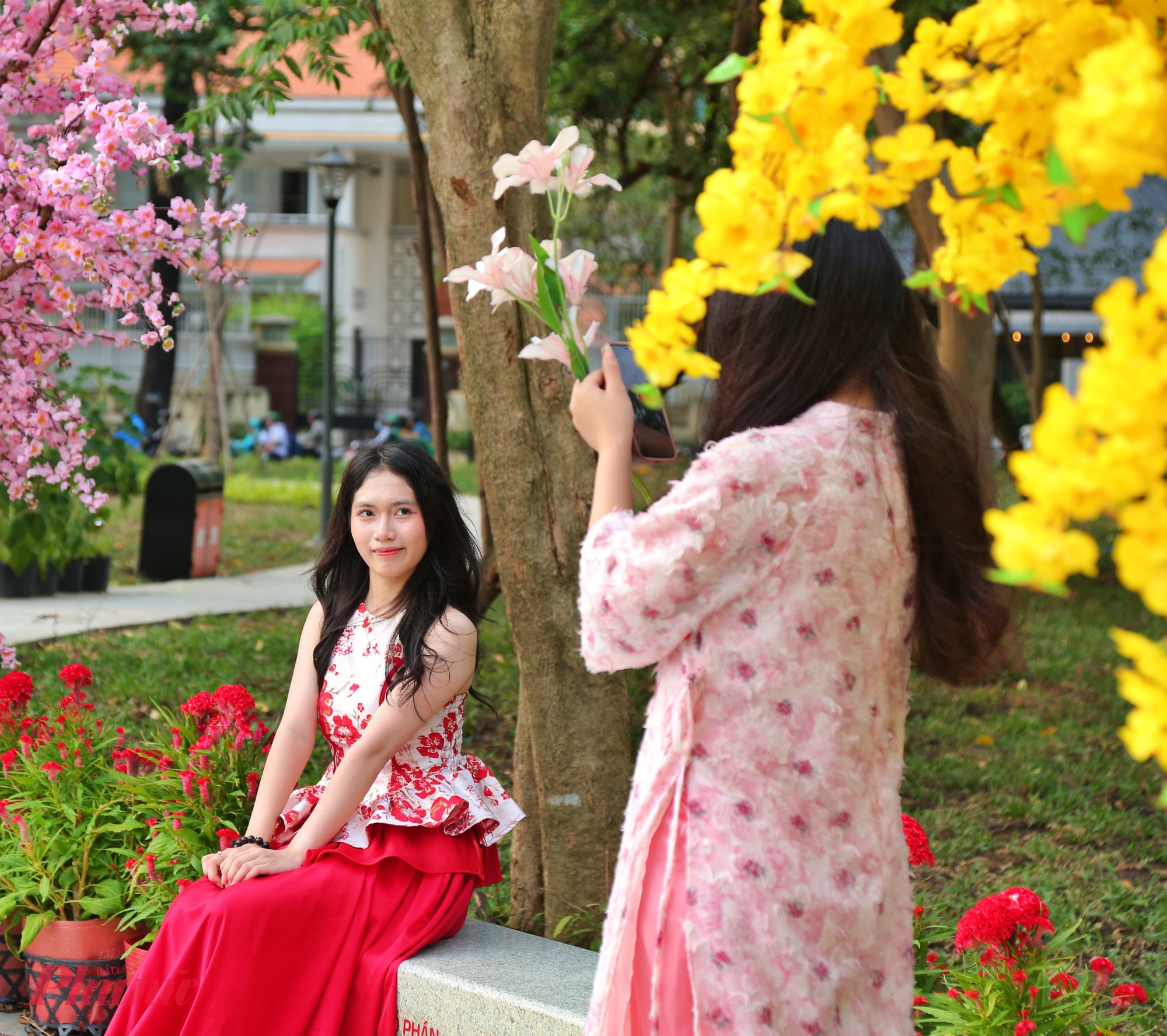 Nhiều bạn trẻ, gia đình,... đến vui chơi, chụp hình Tết tại vườn hoa.