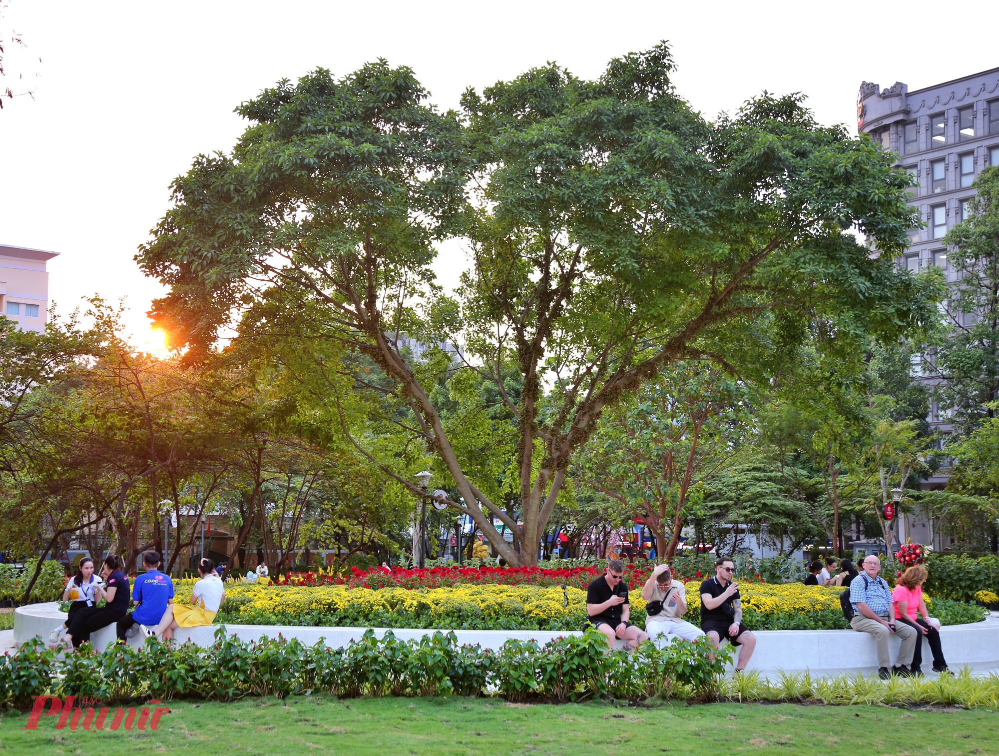 Công viên cũng thu hút nhiều du khách nước ngoài đến tham quan, nghỉ ngơi ngắm hoa tết vào mỗi buổi chiều tà.
