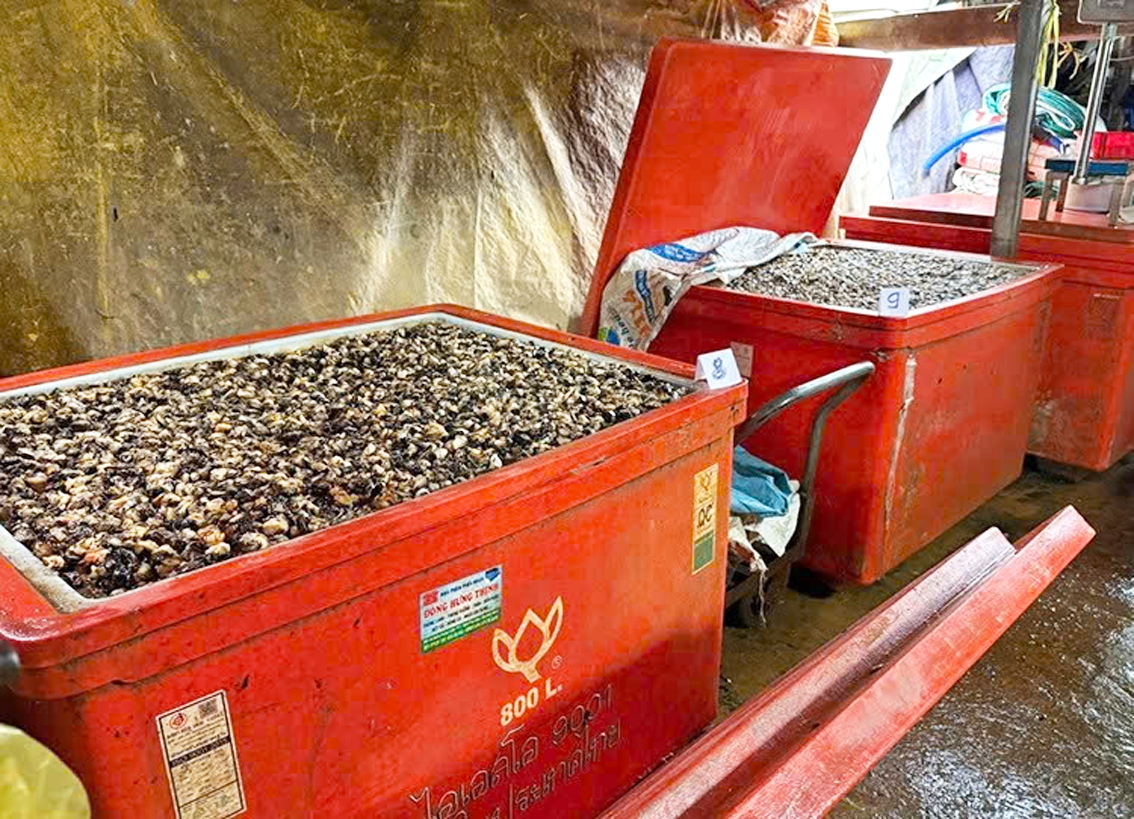 Ốc ngâm hóa chất công nghiệp nguy hại  cho sức khỏe vừa bị Công an TPHCM triệt phá  - Ảnh do Công an TPHCM cung cấp