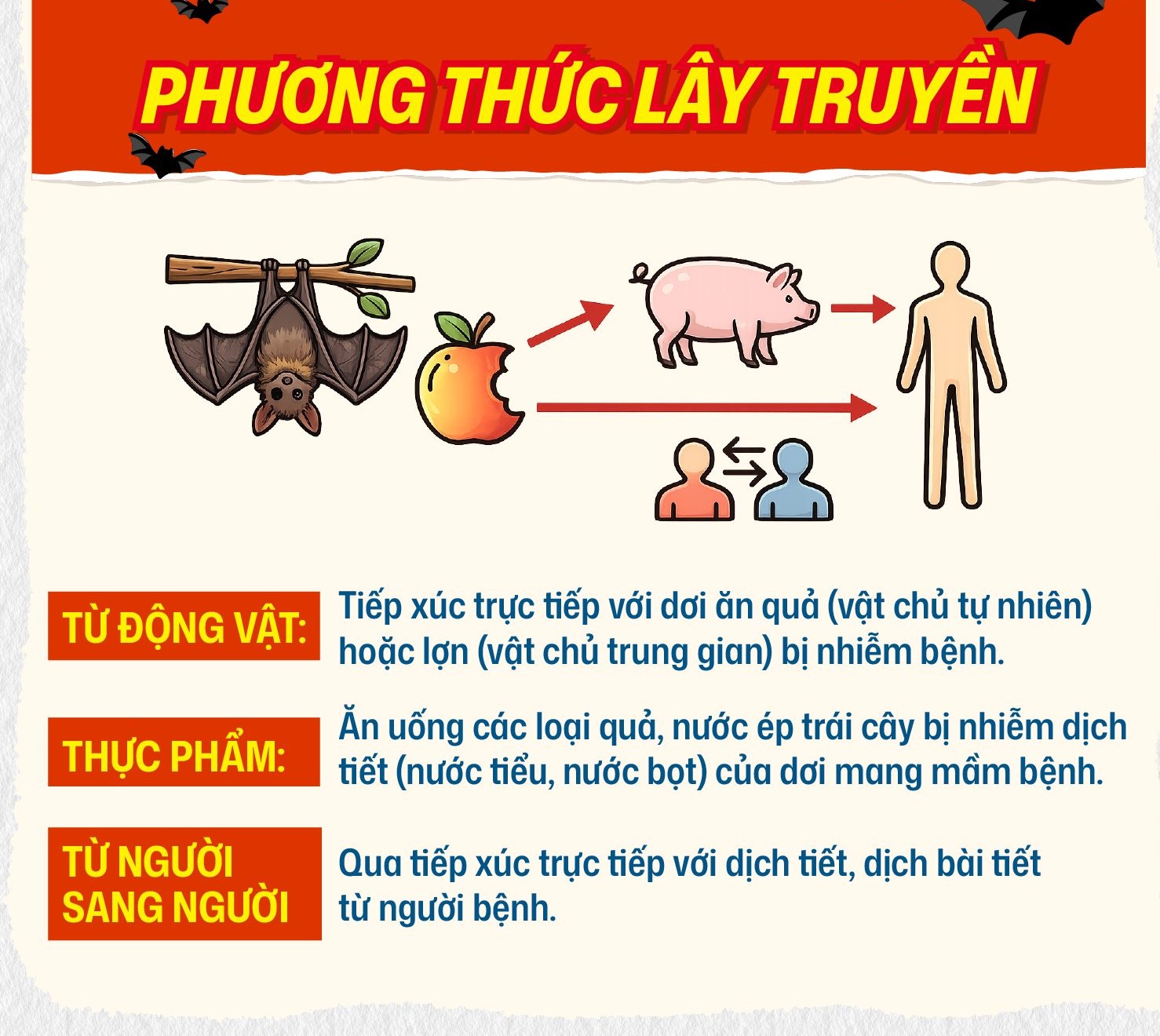 Phương thức lây truyền bệnh do virus Nipah - ảnh: Bệnh viện Nhi Trung ương