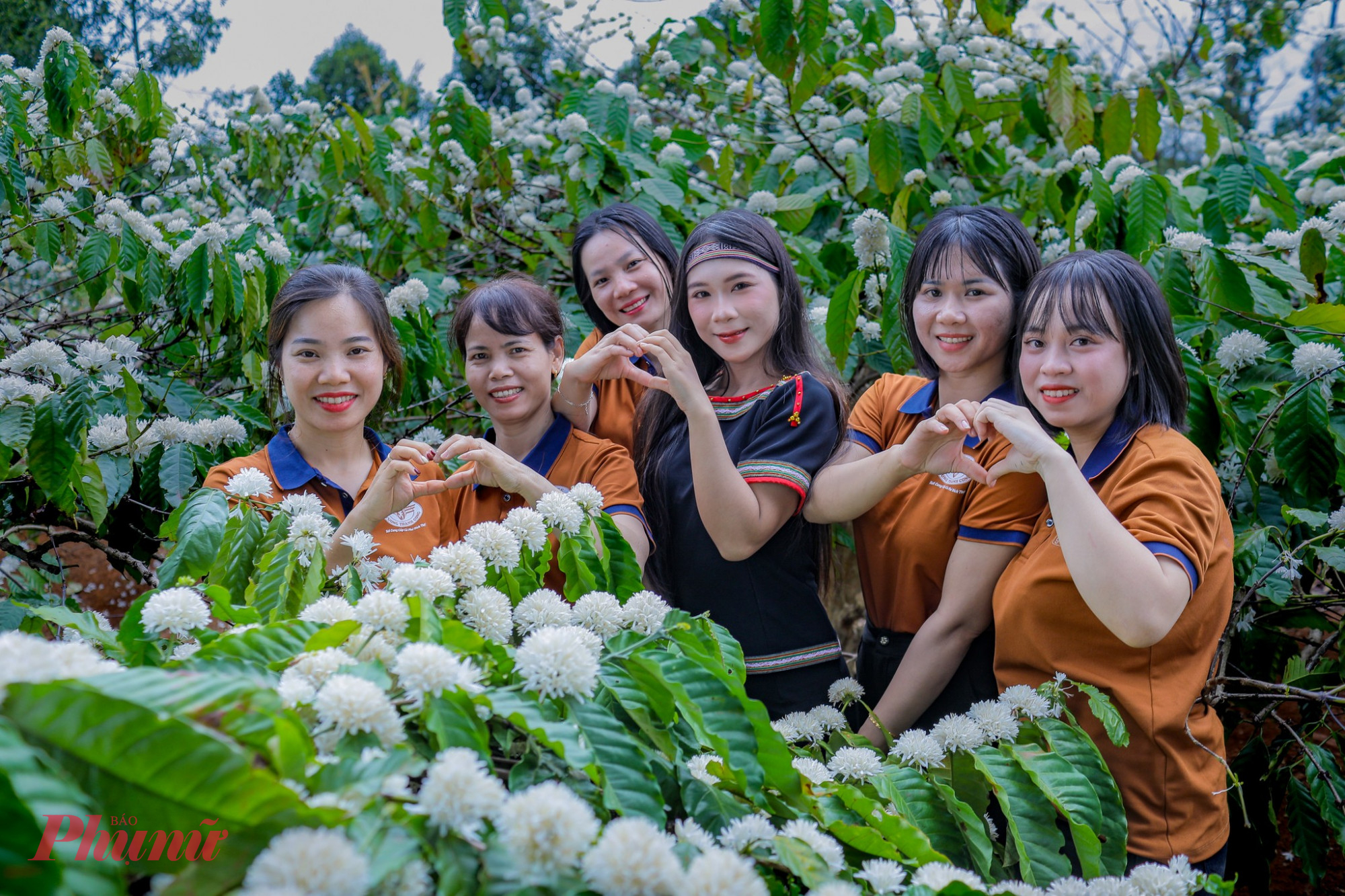 Vẻ đẹp mộc mạc, nhưng đầy quyến rủ của hoa cà phê đã khiến nhiều du khách, đặc biệt là giới trẻ, không bỏ lỡ cơ hội lưu lại những khoảnh khắc đáng nhớ giữa mùa hoa nở rộ.