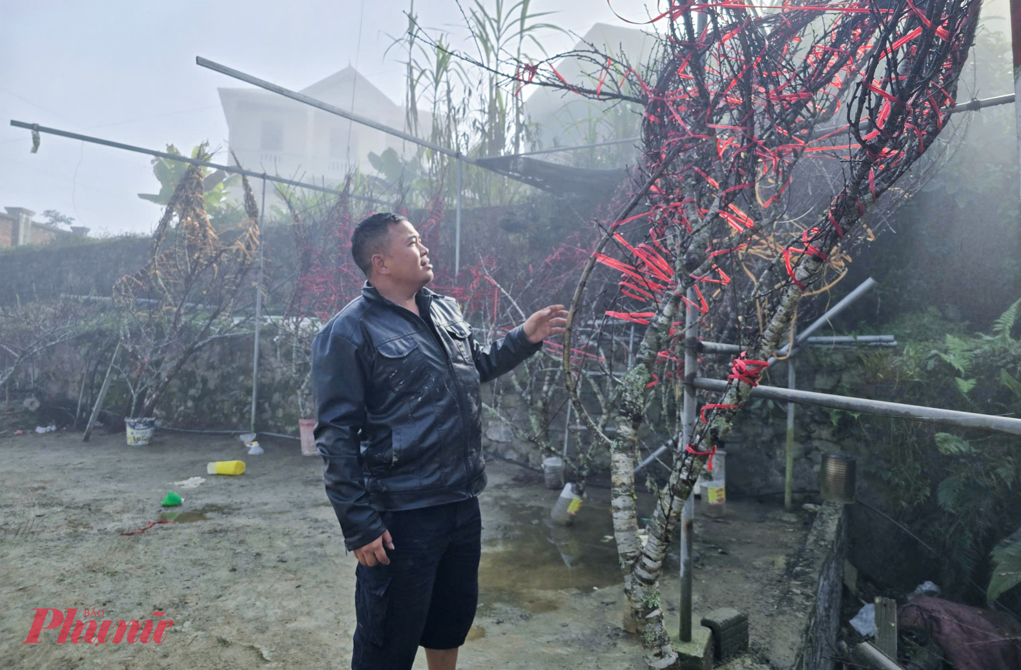 Sau gần 2 tuần, anh Đức mới mua được hơn 100 cành đào mốc