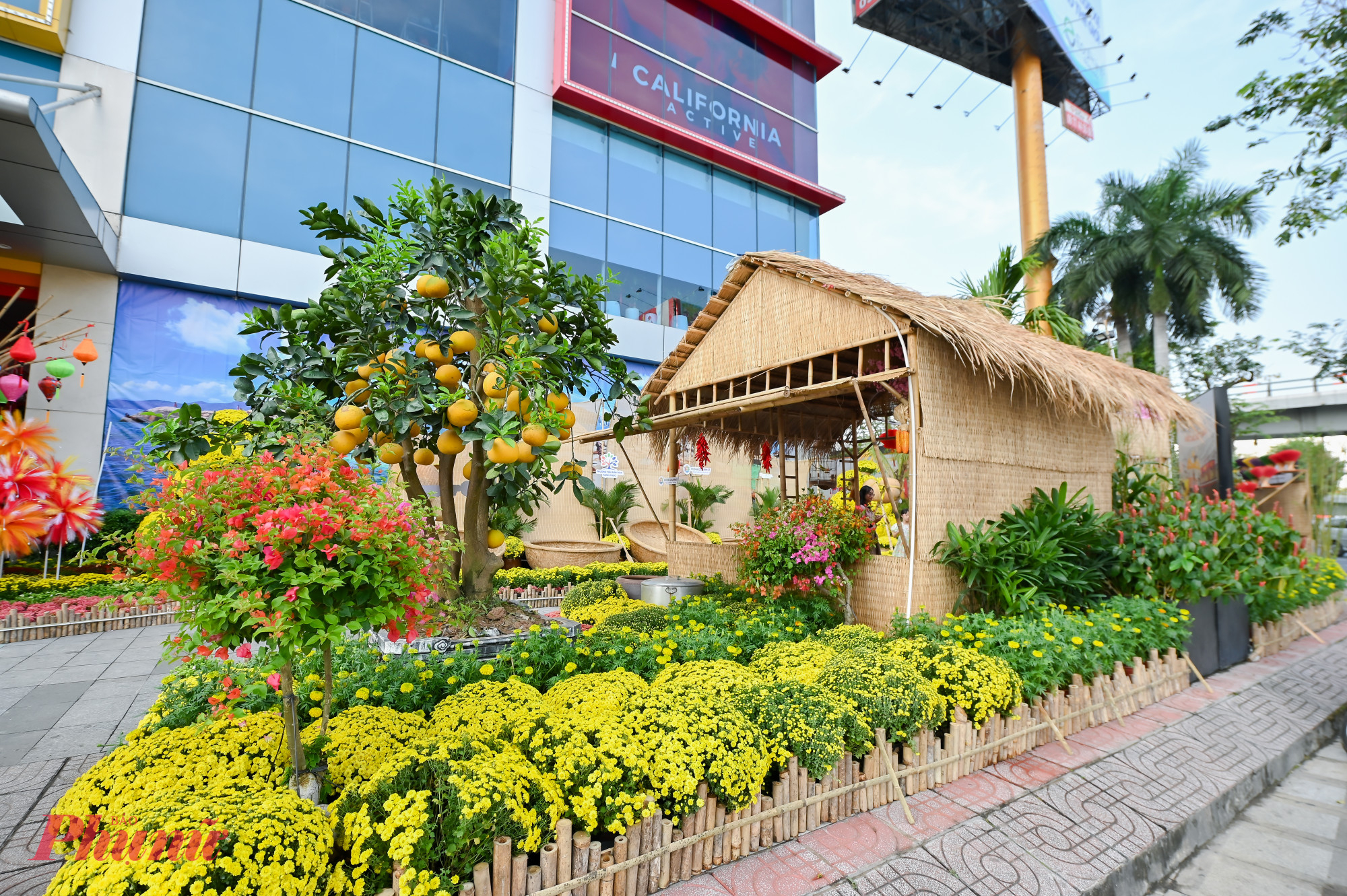 Sự sắp đặt tinh tế này tạo nên một vũ khúc giao hòa giữa truyền thống và hiện đại, mang đến cho cư dân thành phố nói chung và người dân Phường Tân Sơn Hòa nói riêng cùng khách du lịch quốc tế một điểm đến thưởng lãm nghệ thuật đẳng cấp.