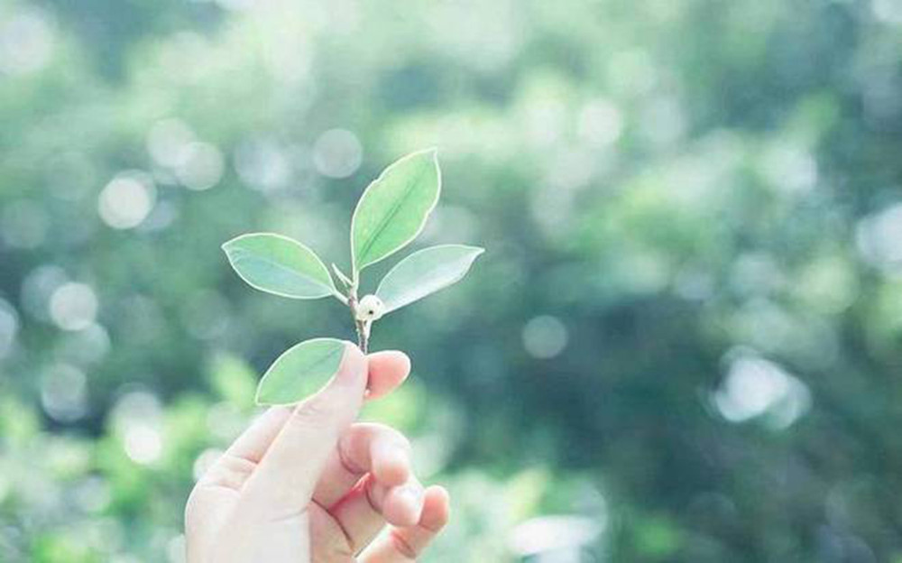 Tuổi trung niên, ai thật sự hạnh phúc? Tuổi trung niên của bạn có hạnh phúc không?