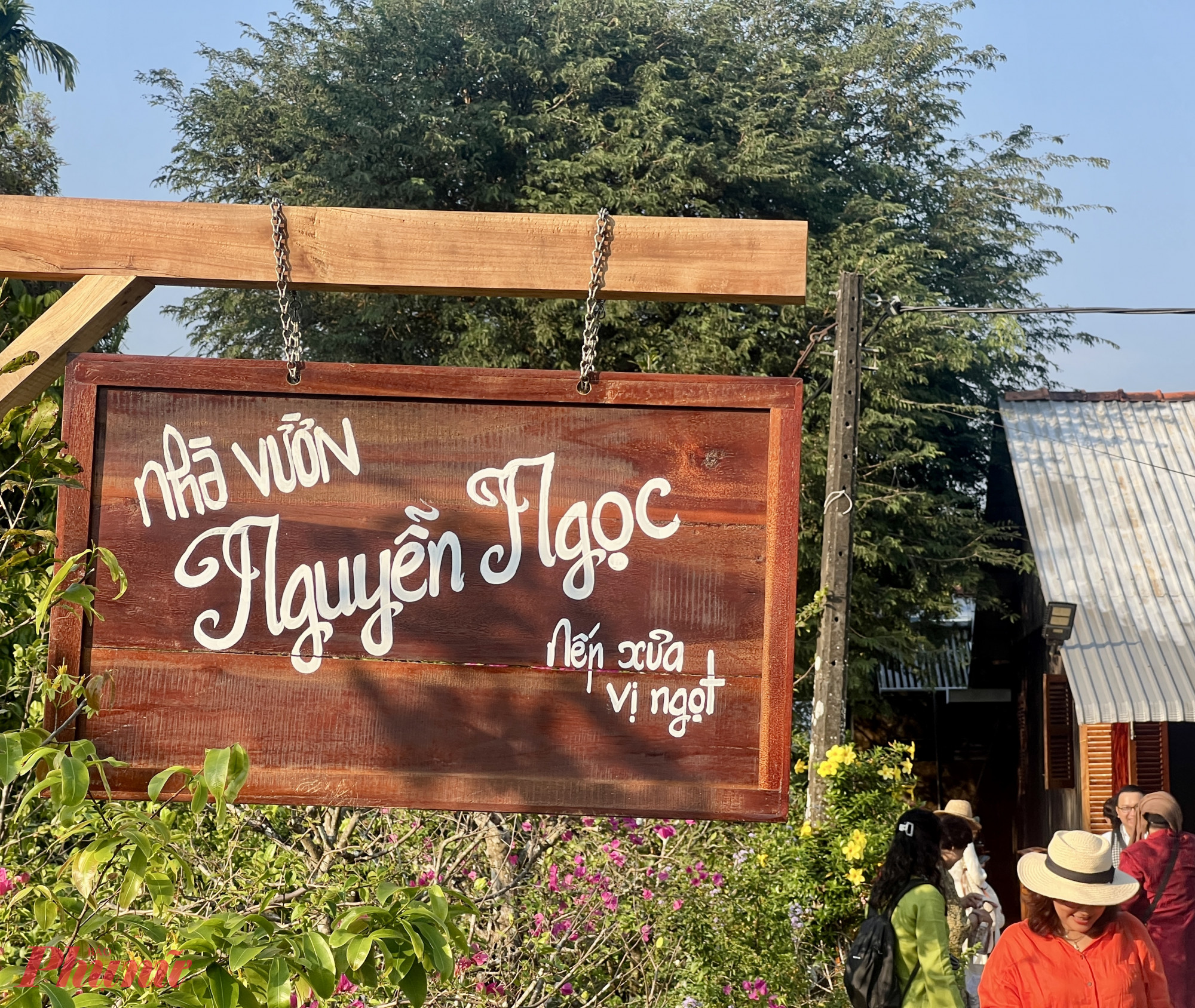 Điểm dừng chân đầu tiên trong tour Nhị Hòa là nhà vườn Nguyễn Ngọc – một ngôi nhà xưa nằm men theo nhánh sông Cổ Chiên, giữa hàng dừa nước xanh mát. Con đường vào nhà dân sạch sẽ, rợp bóng cây, những ngày giáp Tết càng rực rỡ với mai, cúc, vạn thọ và trái cây trĩu cành, tạo cảm giác thanh bình đặc trưng miền Tây.