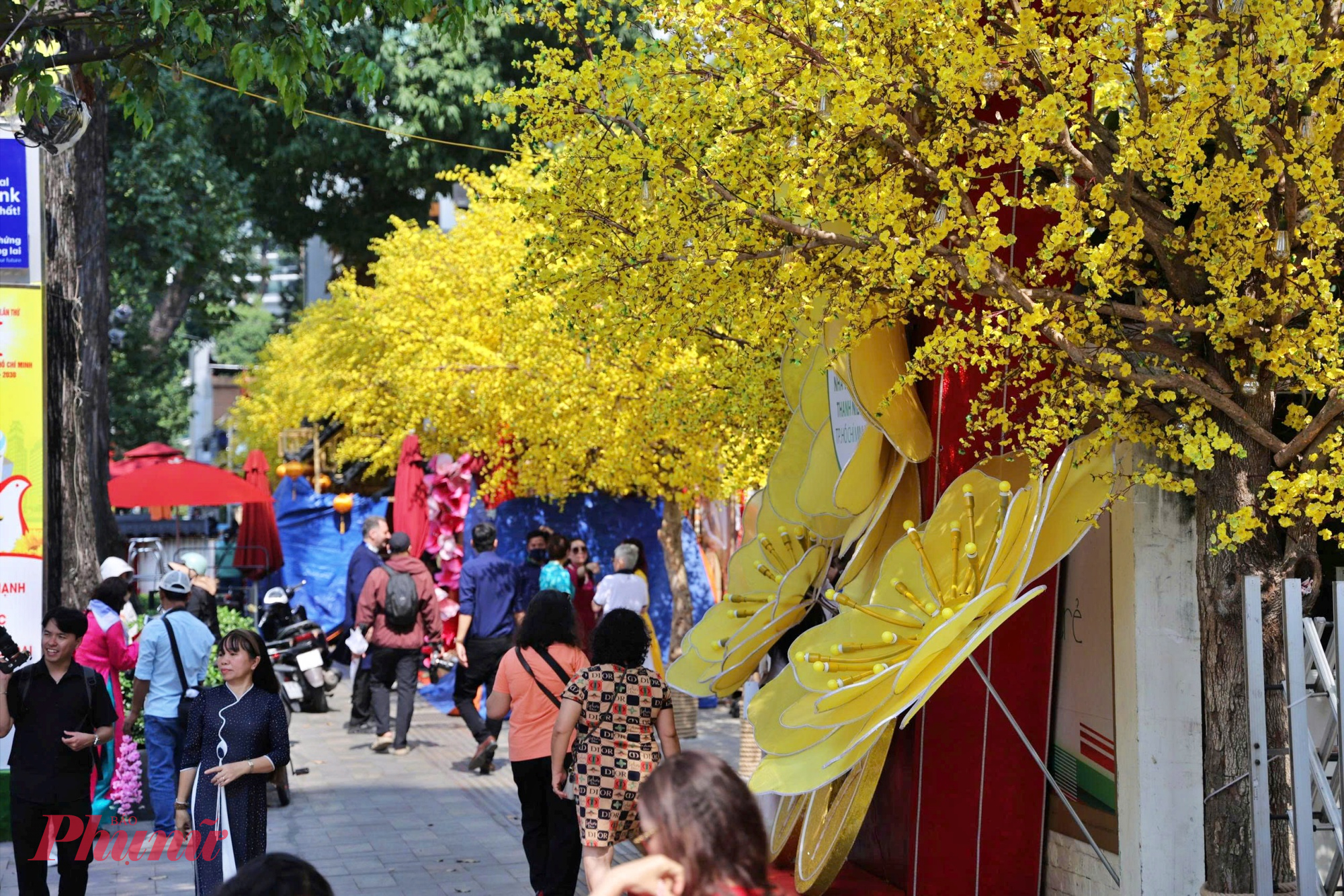 Không gian vườn mai - đường mai được tạo điểm nhấn bằng nghệ thuật sắp đặt, truyền tải thông điệp về kỷ nguyên vươn mình của dân tộc. 