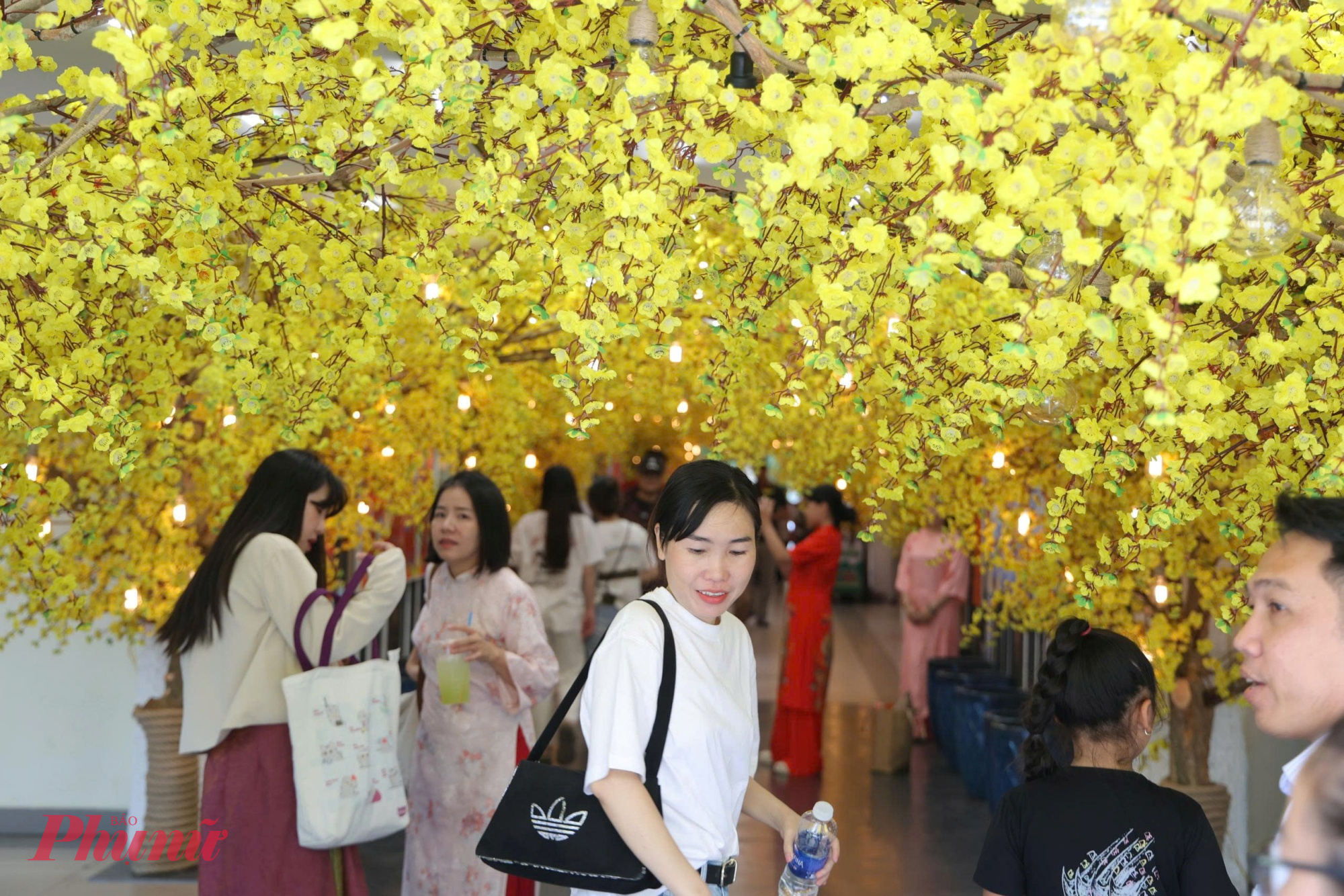 Con đường mai vàng thu cũng thu hút đông đảo người dân, du khách đến check in.