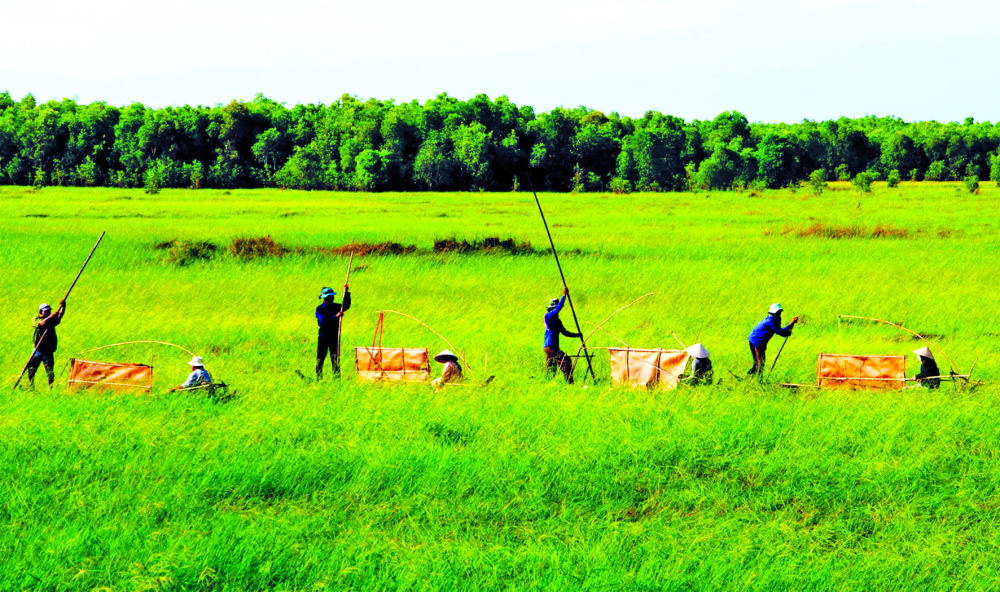 Đập lúa trời - ẢNH: THANH PHONG