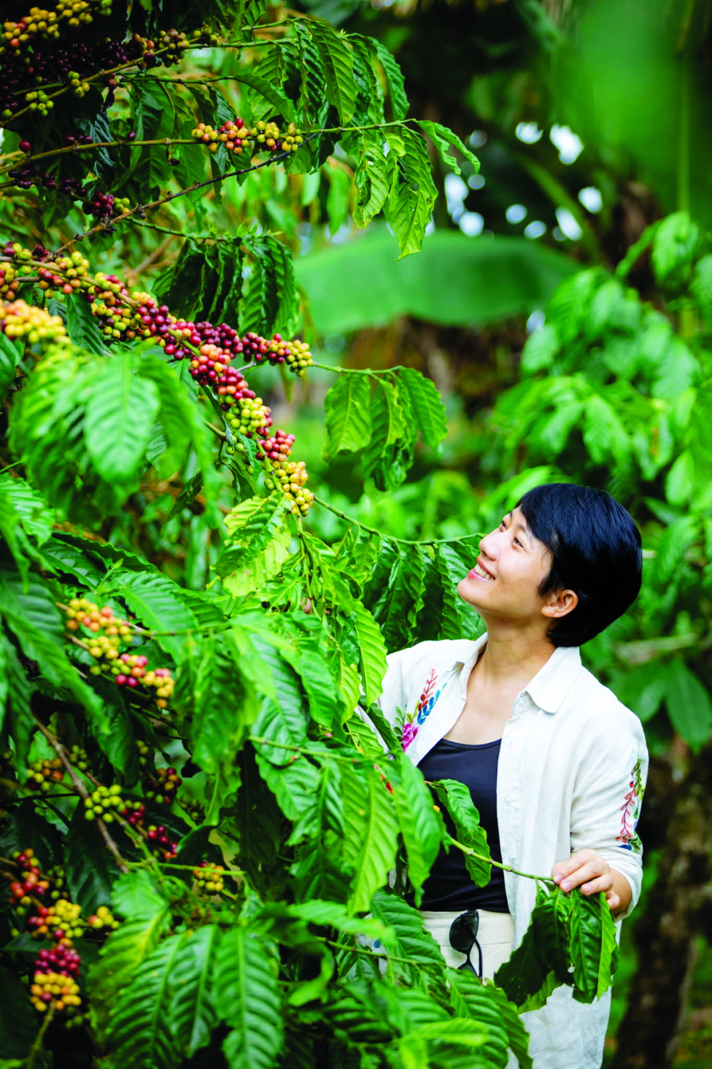 Những giọt mật vàng nhà Giang Chị Thủy Nguyễn trong một chuyến thực tế tìm nguồn nông sản sạch