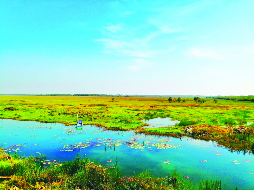 Một góc vườn quốc gia Tràm Chim