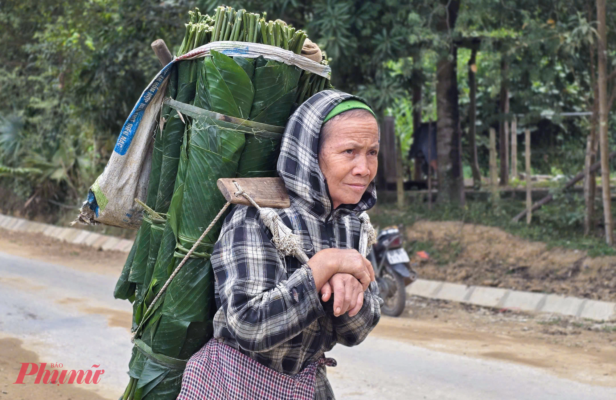 Mỗi ngày vào rừng, bà Lim cắt được khoảng 700 lá dong, thu về hơn 200.000 đồng