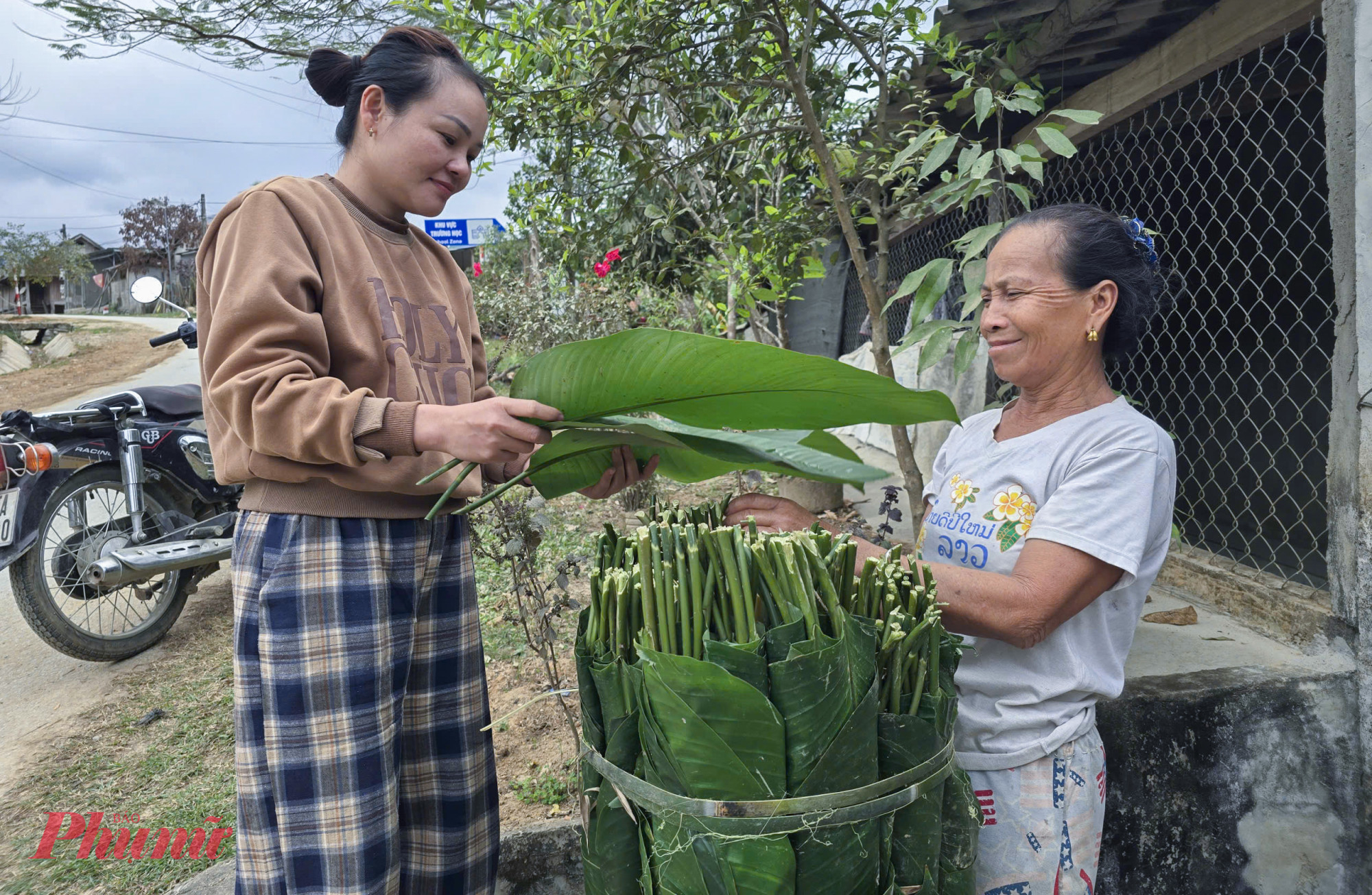 Lá dong sau khi cắt về được thương lái đến nhà thu mua