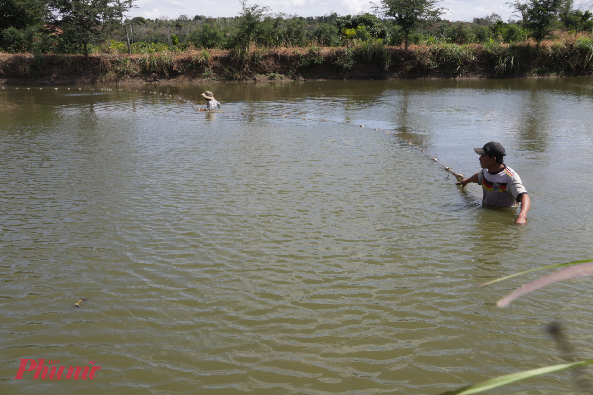 Người dân đầu tư ao hồ để đưa giống cá lăng đuôi đỏ từ sông Sêrêpôk vào nuôi trong môi trường nước tĩnh