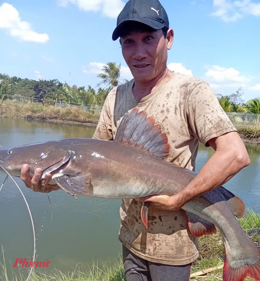A Lê Văn Kiên vừa thu hoạch được con cá lăng đuôi đỏ nặng đến 15kg