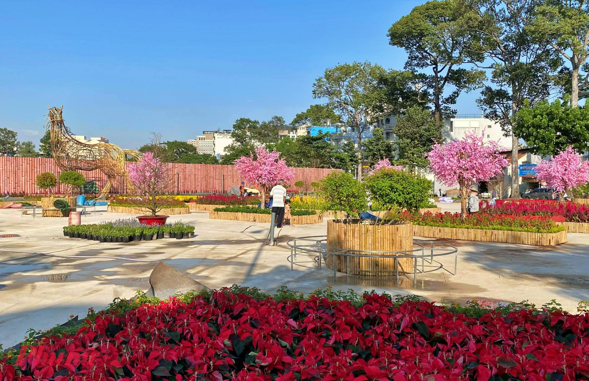 Cách công viên số 1 Lý Thái Tổ không xa là vườn hoa tết tại khu đất số 152 Trần Phú (phường Chợ Quán, TPHCM, khu vực quận 5 trước đây) cũng đã thành hình, mang diện mạo mới mẻ, đầy màu sắc. 