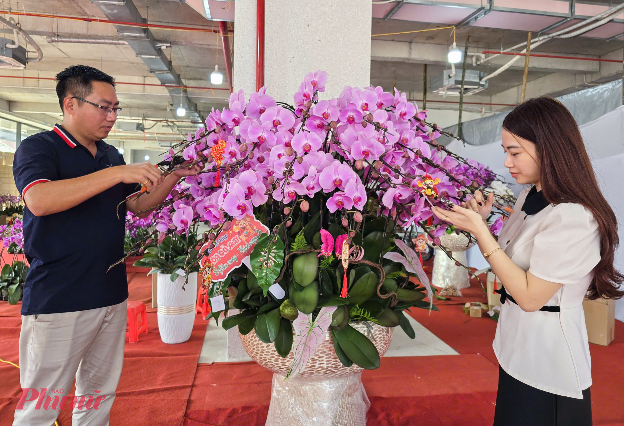 Chị Nguyễn Quỳnh Trang (chủ cửa hàng lan hồ điệp trên đường Lê Nin, phường Vinh Phú) cho biết, dịp tết năm nay chị nhập về hơn 1 vạn cành hoa lan hồ điệp với đủ các chủng loại khác nhau ở những nhà vườn uy tín tại Đà Lạt để phục vụ thị trường. “Giá lan hồ điệp năm nay không tăng. Năm nay nhiều người chọn mua lan hơn do đào tăng giá” - chị Trang nói.