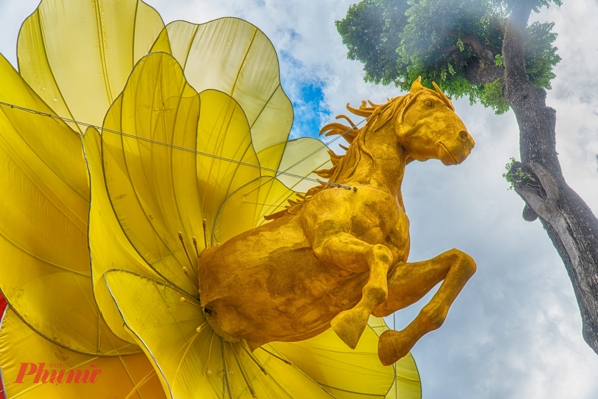  Phía bên ngoài, cổng khu vực sân khấu 4A trưng bày linh vật ngựa bay ra từ hoa mai độc lạ khiến người dân và du khách thích thú.