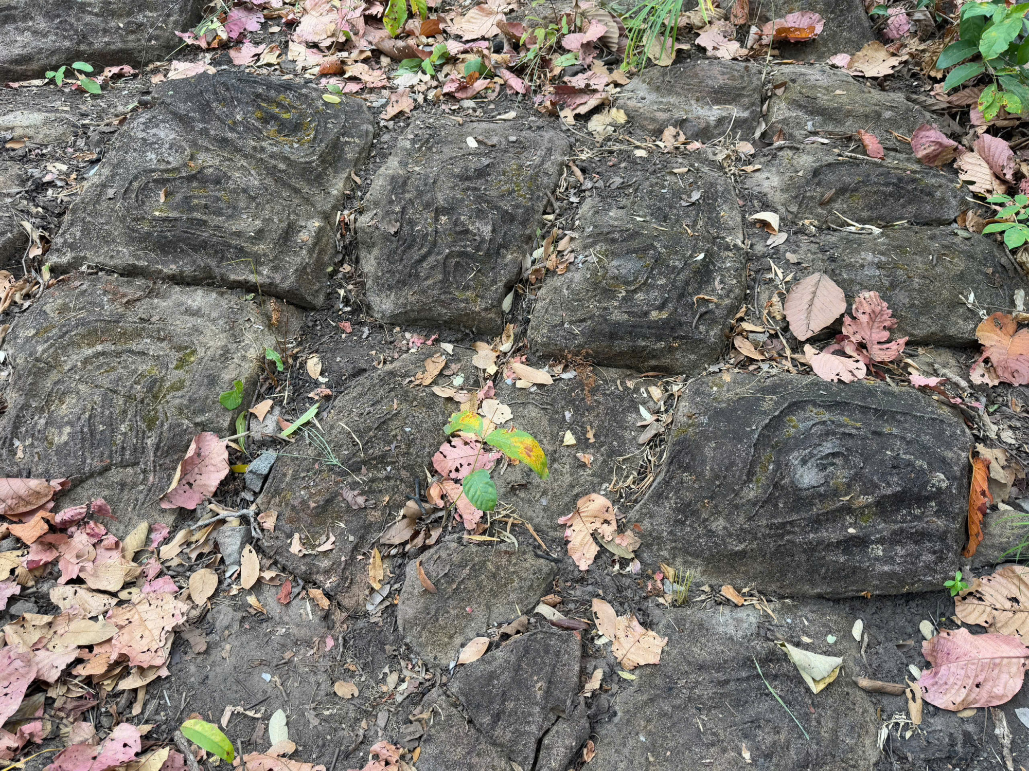 Sở Văn hóa, Thể thao và Du lịch tỉnh Đắk Lắk cho biết, sẽ báo cáo cụ thể sau khi có kết quả kiểm tra bãi đá có họa tiết lạ này - ảnh: H.D.