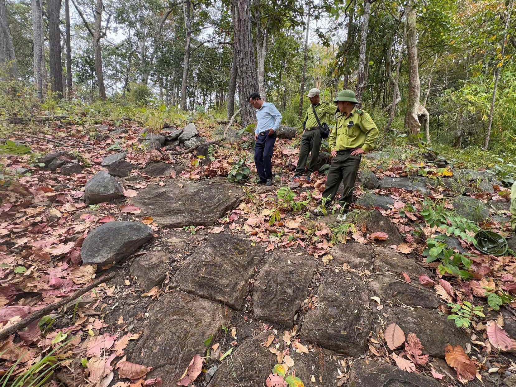 Lộ diện bãi đá có hình vẽ, họa tiết lạ trong Vườn quốc gia Yok Đôn - ảnh: H.D.