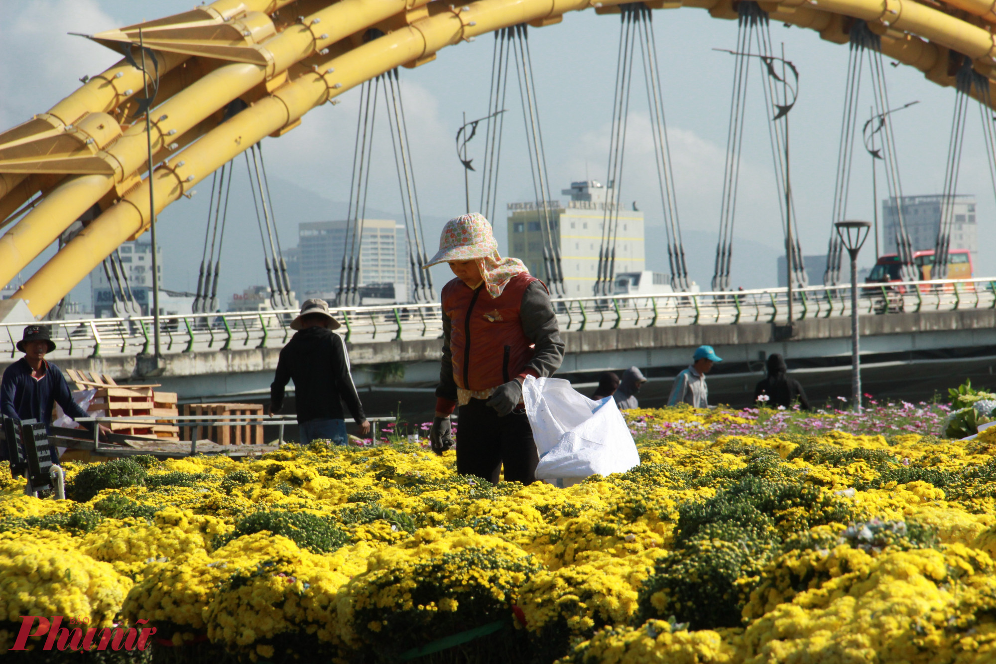 Dự án trang trí hoa và điện chiếu sáng phục vụ Tết Bính Ngọ 2026 được TP Đà Nẵng tổ chức cuộc thi ý tưởng và triển khai dự án trang trí hoa, điện chiếu sáng. Năm nay, công tác tổ chức trang trí hoa và điện chiếu sáng được thực hiện đồng bộ trên toàn bộ địa giới hành chính thành phố Đà Nẵng sau sáp nhập.