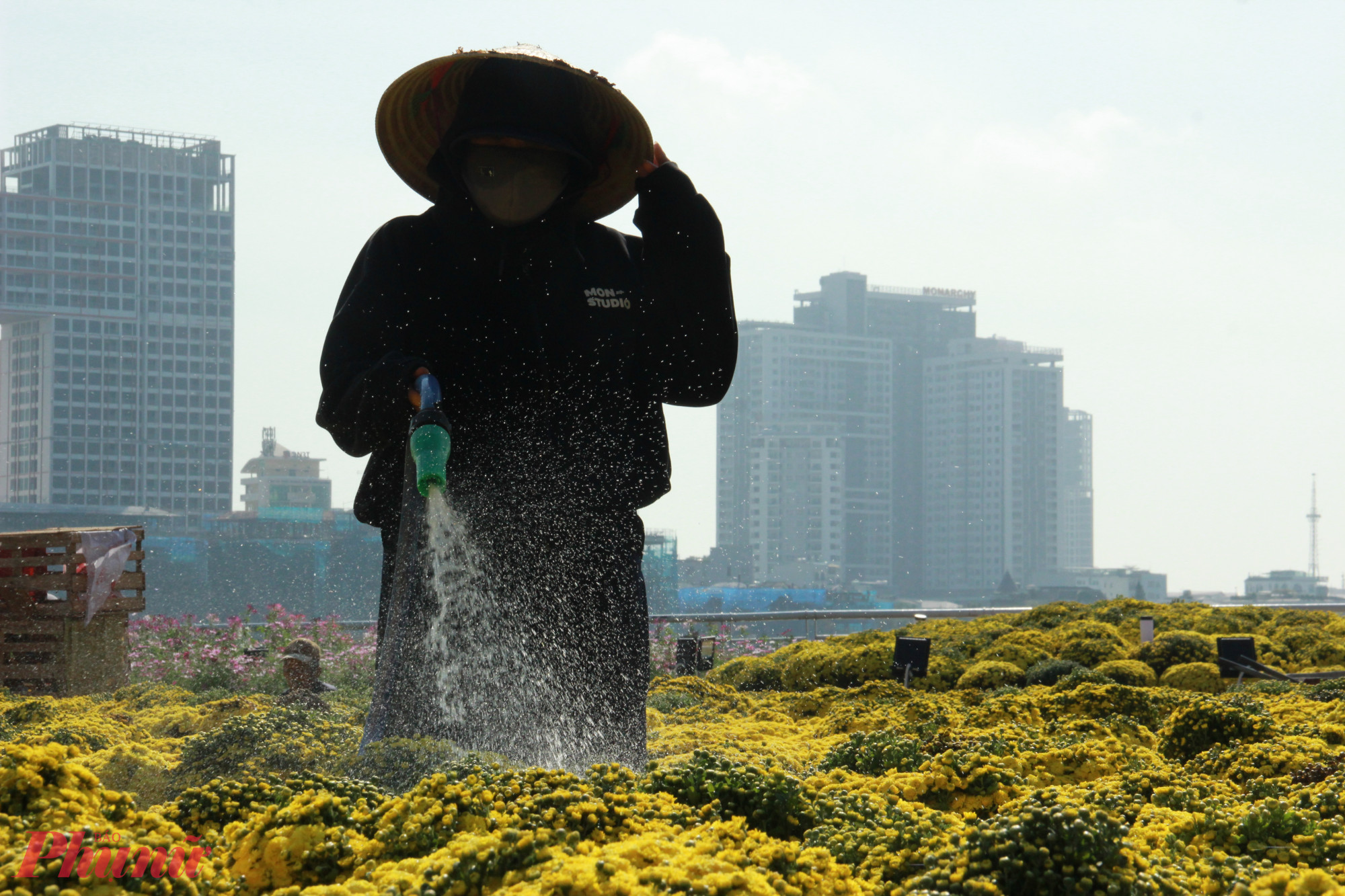 Dự án trang trí hoa và điện chiếu sáng phục vụ Tết Bính Ngọ năm 2026 trên địa bàn thành phố Đà Nẵng triển khai thi công từ cuối tháng 1/2026.