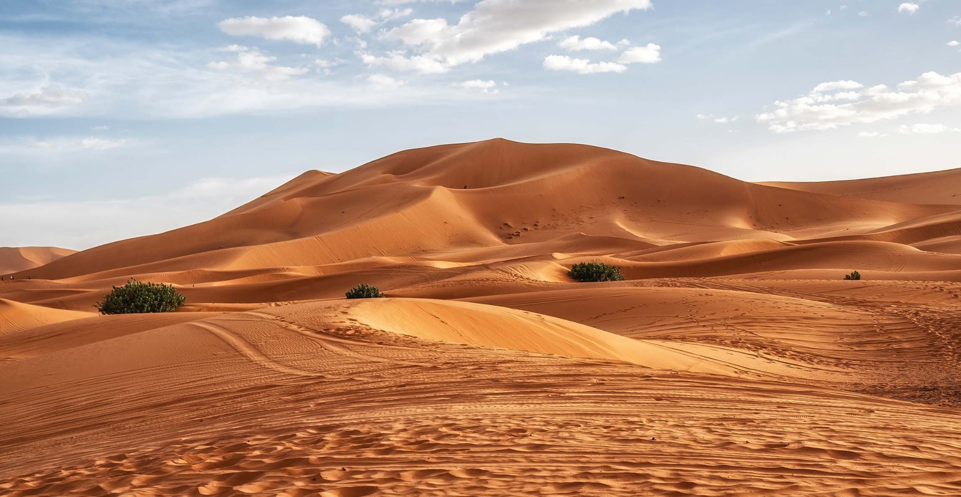 Saharatuwfng là vùng thảo nguyên xanh tuơi chứ không khô cằn như hôm nay. Ảnh: Internet