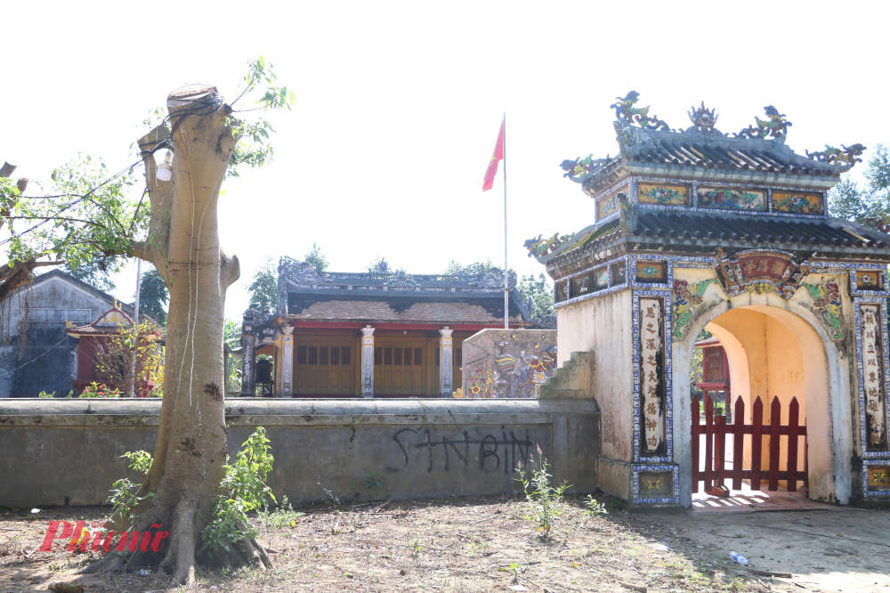 Việc cây bị cưa trụi diễn ra bất ngờ sau “Ngày chủ nhật Xanh” khiến nhiều người không khỏi bàng hoàng. Chỉ sau một buổi, tán cây xanh um đã biến mất, thay vào đó là những nhát cắt còn mới, nham nhở trên thân gỗ già nua.