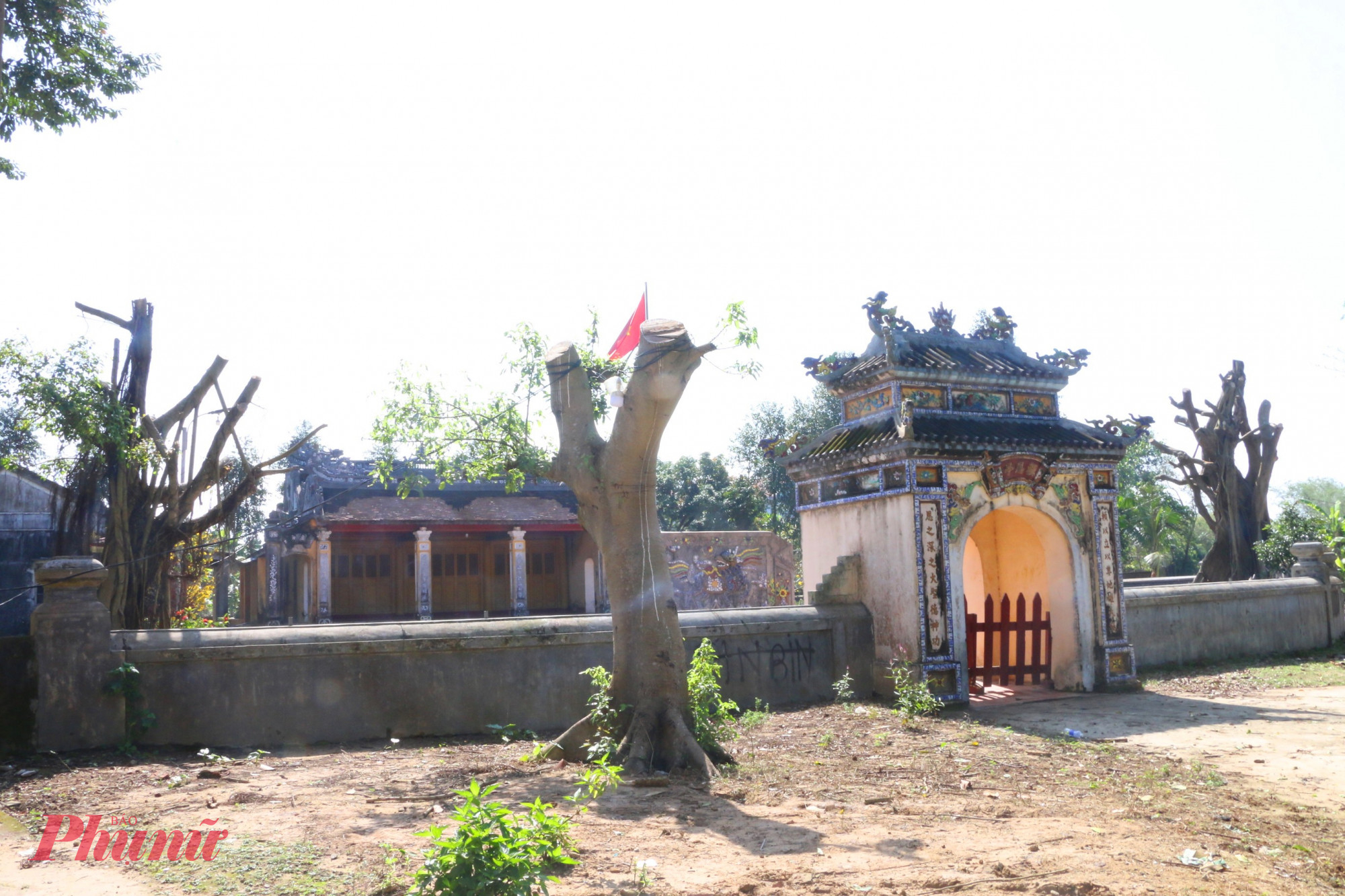 Dưới tán cây xanh trăm tuổi từng che mát sân đình Lại Ân, bao thế hệ người dân đã lớn lên cùng những ký ức bình dị Thế nhưng, hình ảnh quen thuộc ấy nay chỉ còn lại những gốc cây trơ trọi, khi cây xanh trăm tuổi của đình Lại Ân đã bị cưa trụi, để lại nhiều tiếc nuối và trăn trở trong lòng cộng đồng.