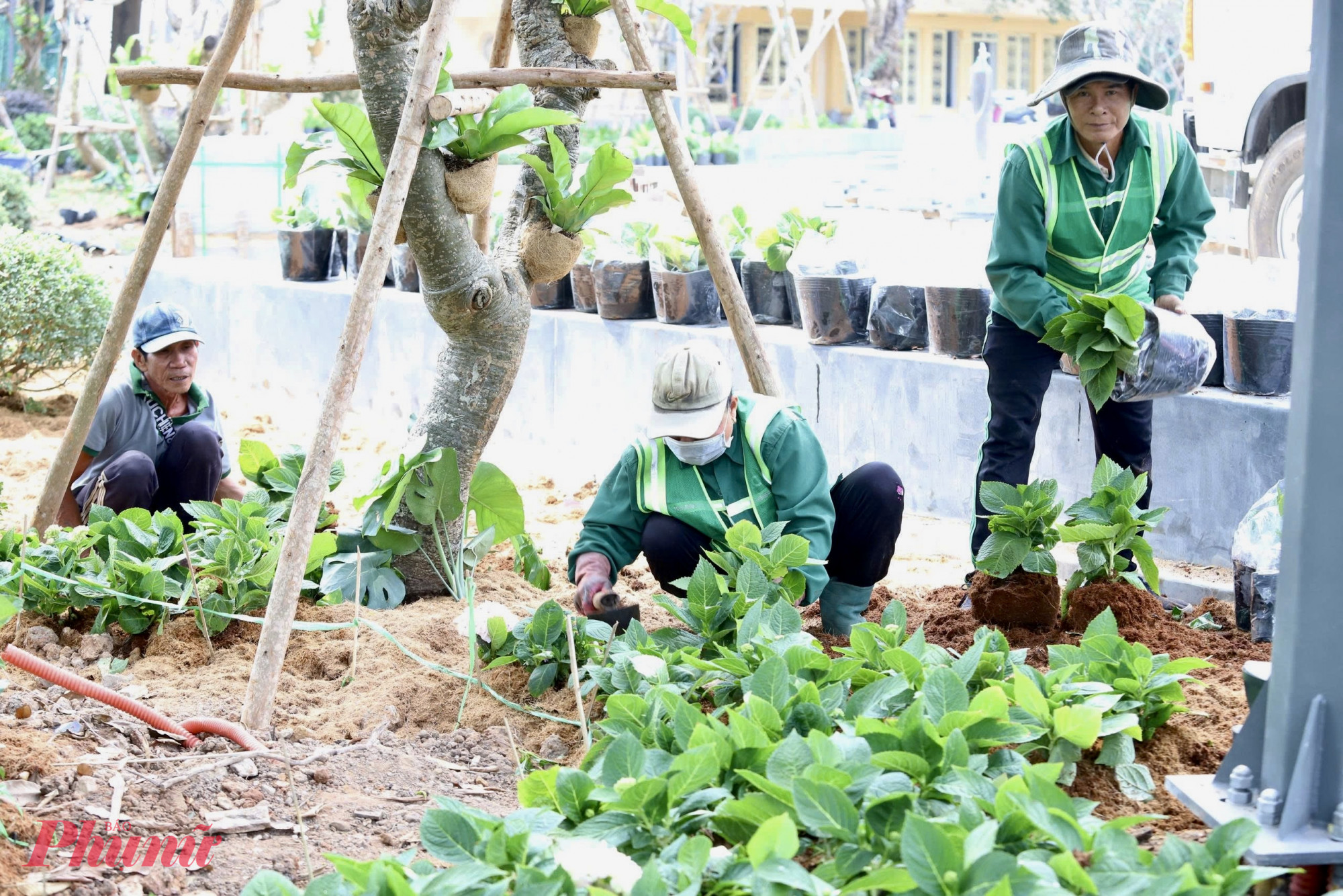 Những ngày cận Tết, công nhân khẩn trương thi công, trồng hoa tại khu đất số 1 Lý Thái Tổ, biến khu đất bỏ hoang thành không gian xanh phục vụ cộng đồng - Ảnh: Thanh Tâm